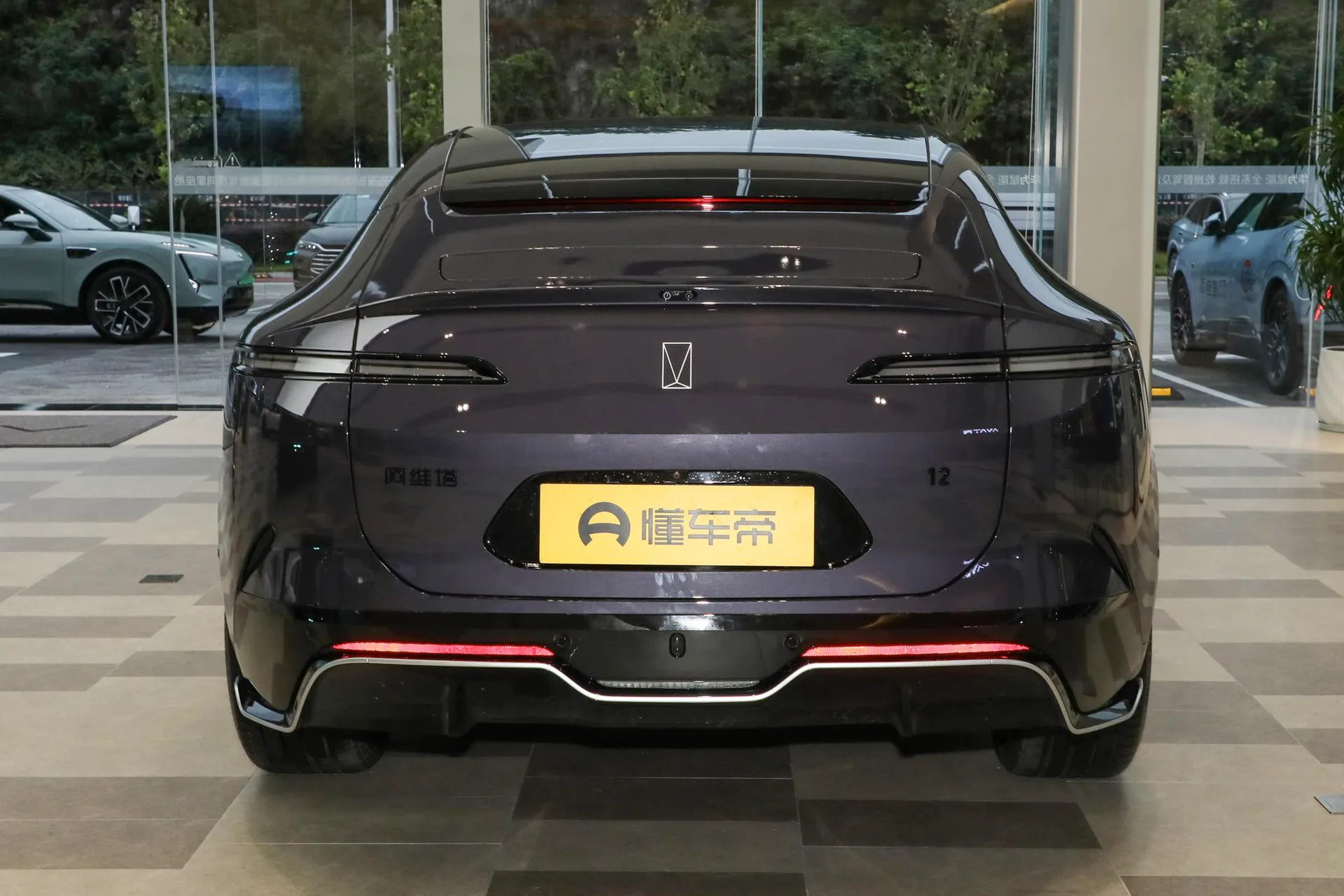  12 Max RWD EV