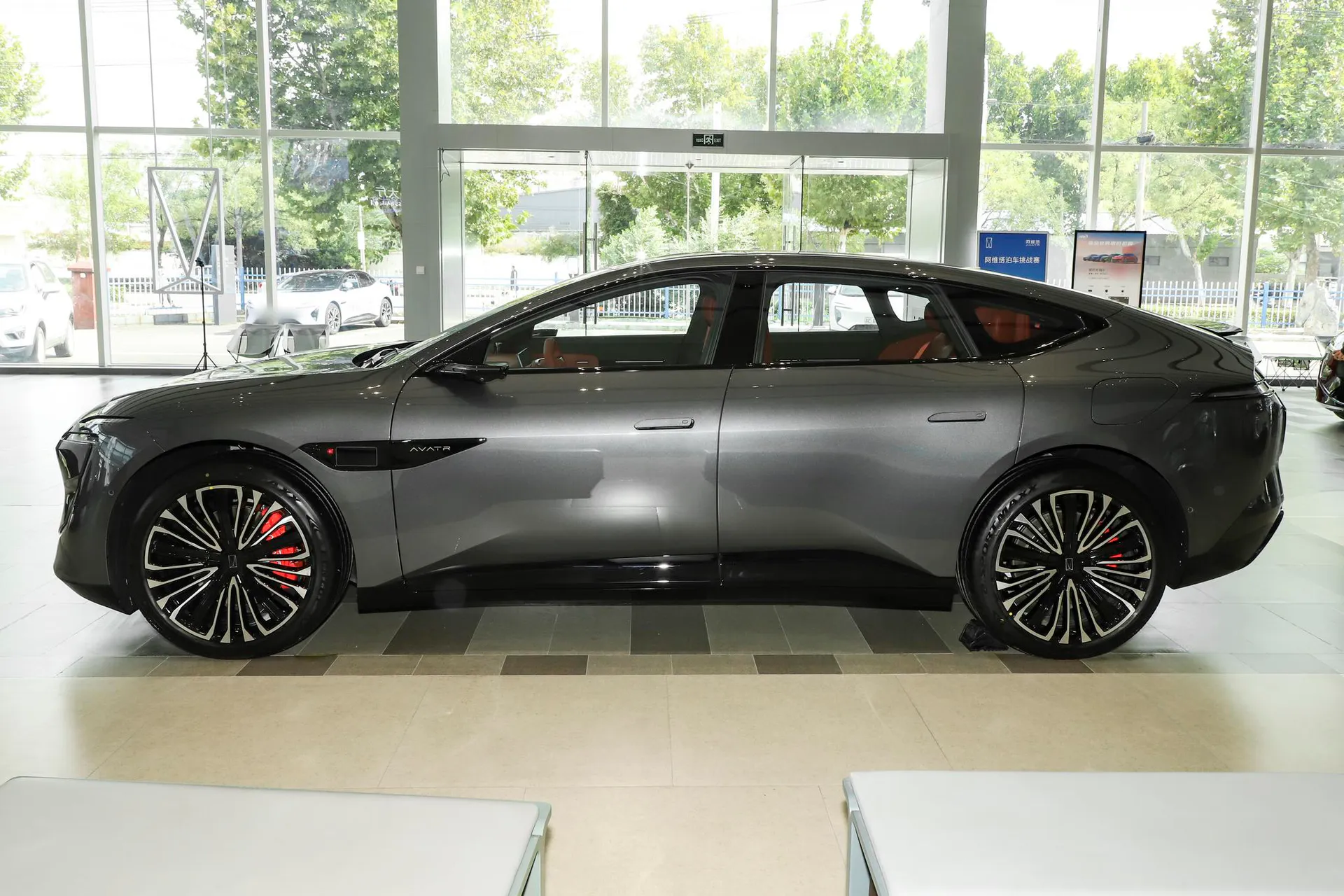  12 Max RWD EV