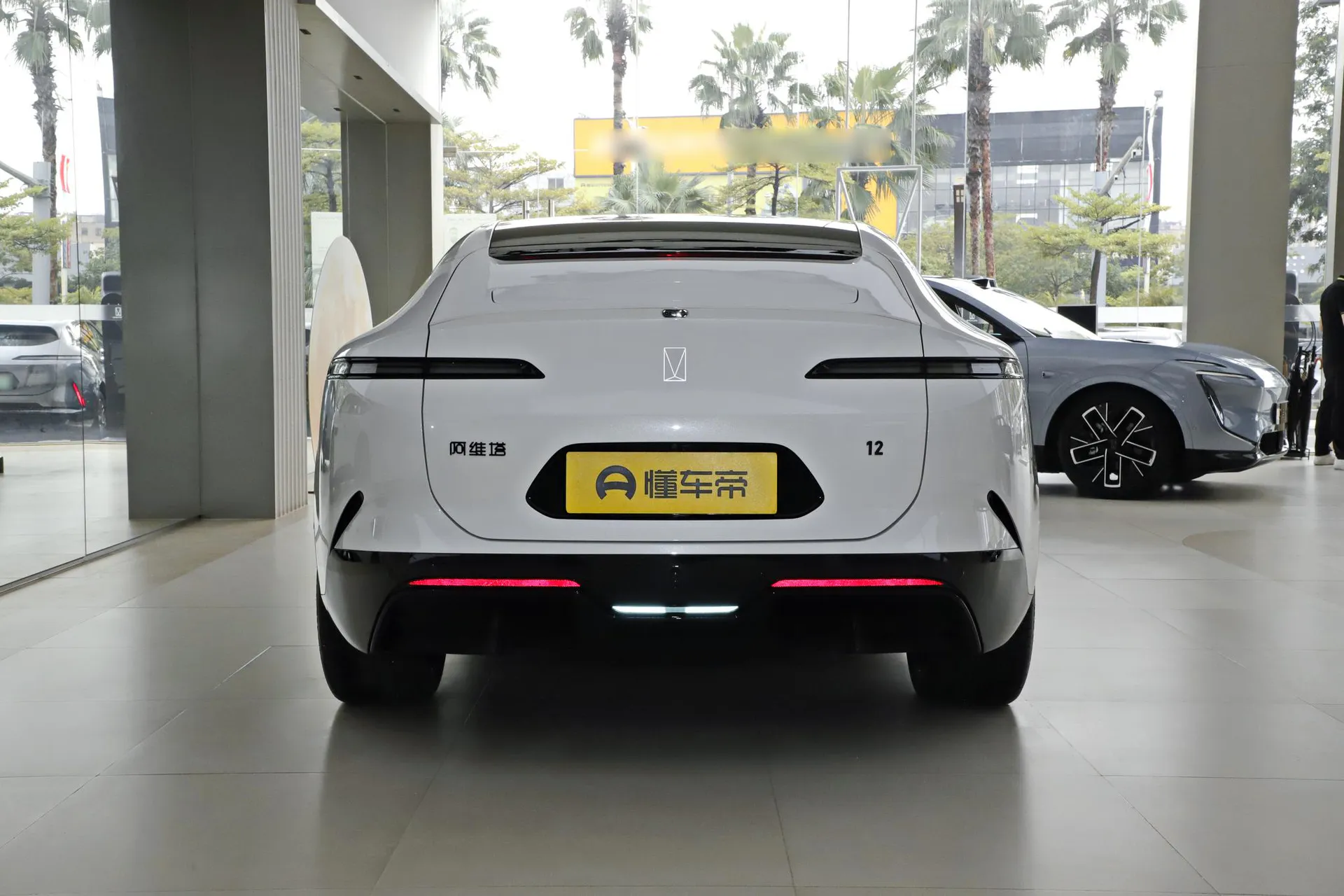  12 Max RWD EV
