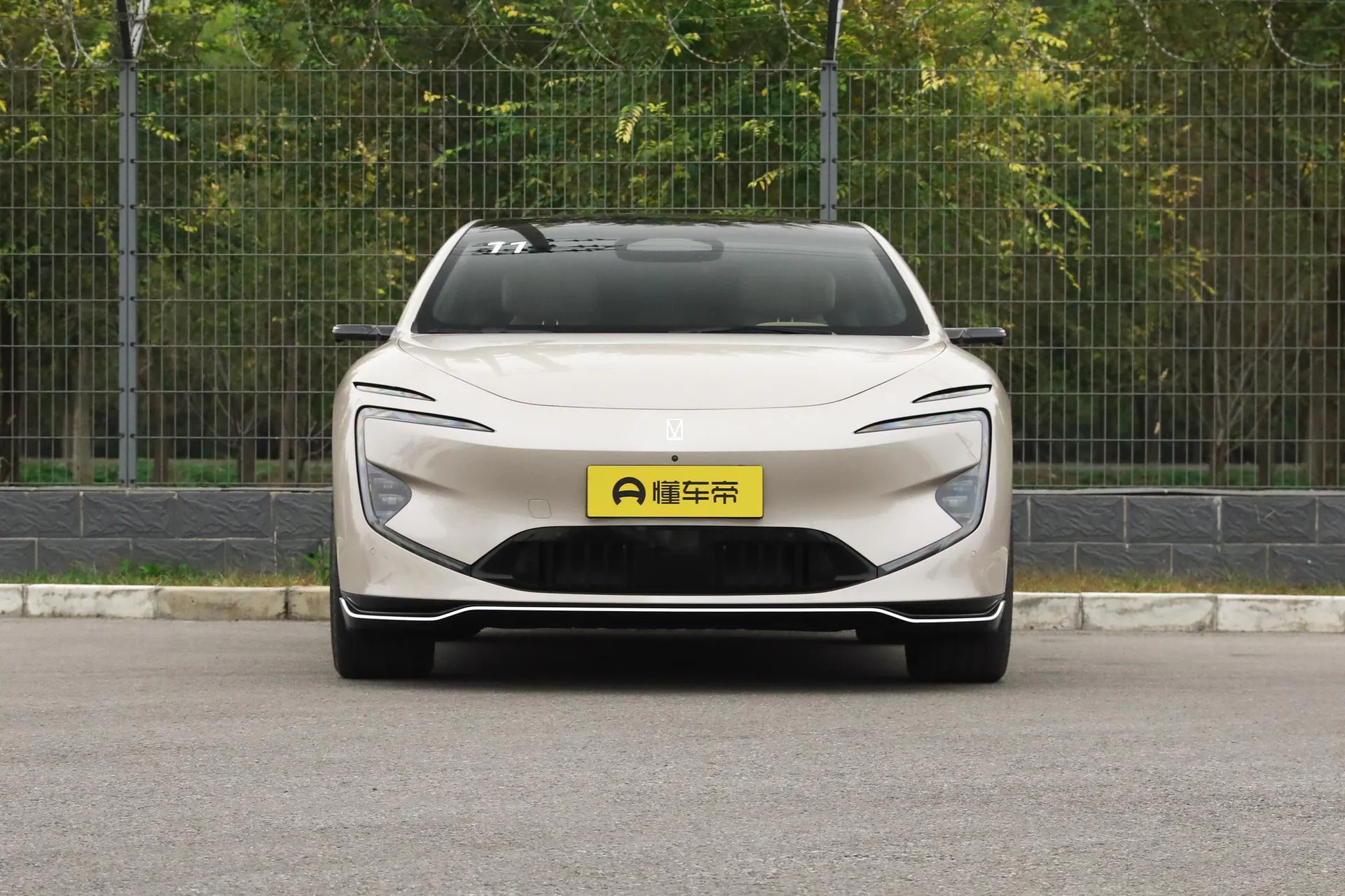  12 Master AWD Pure EV