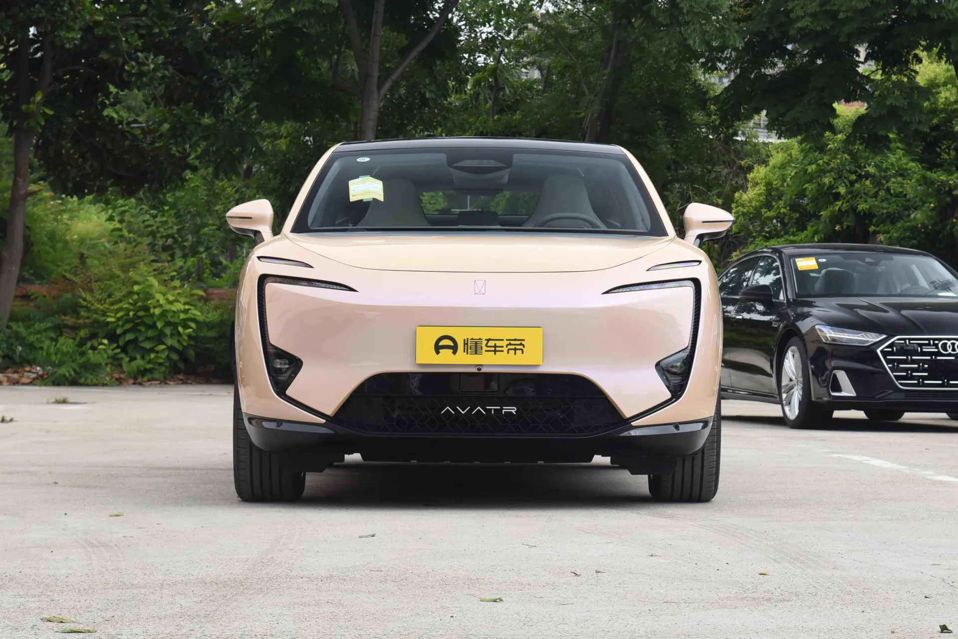  11 Max RWD EV