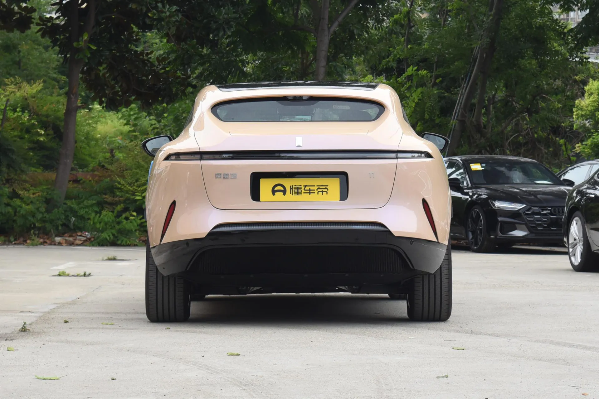 11 Max RWD EV