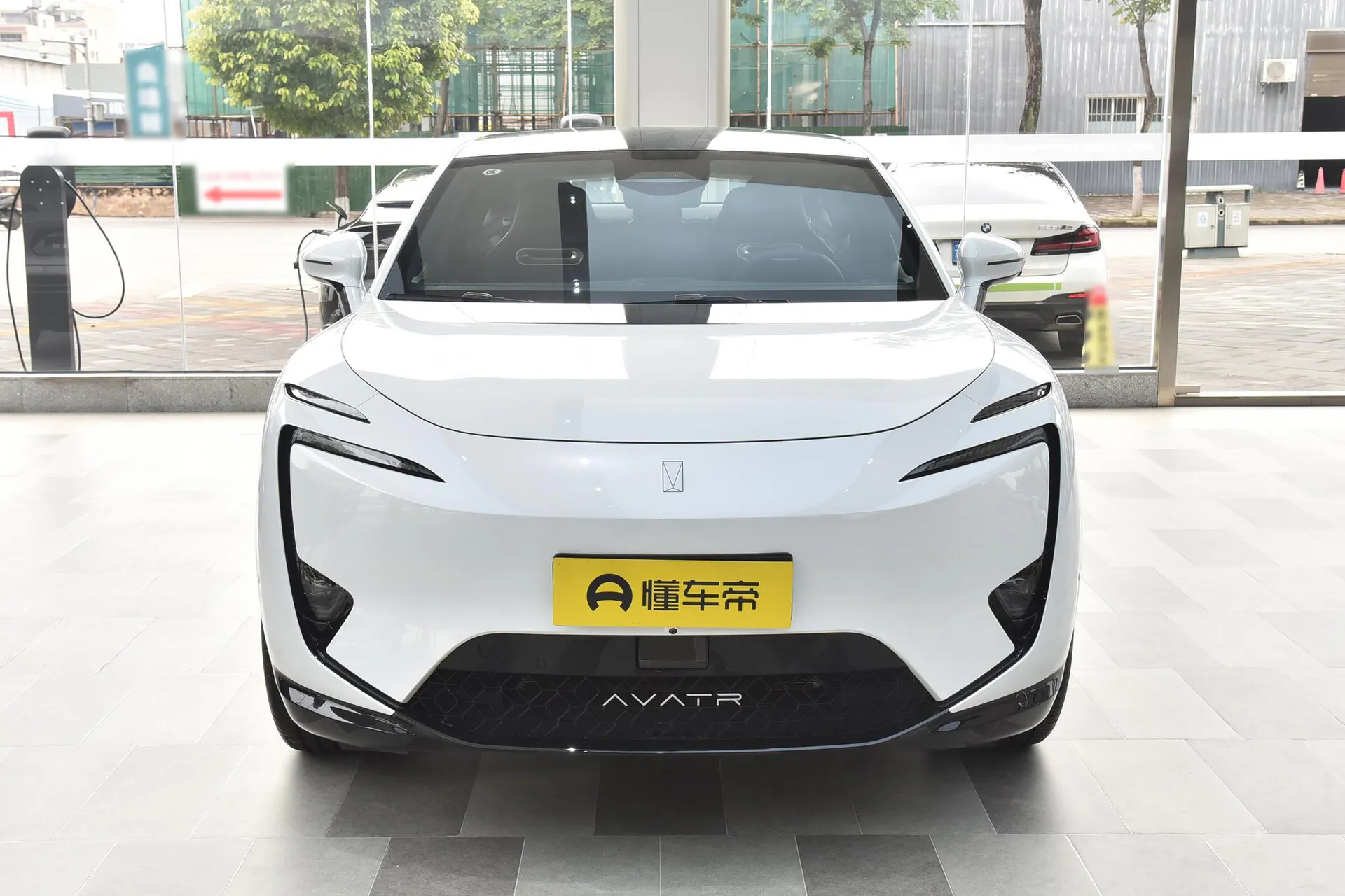  11 Max RWD EV