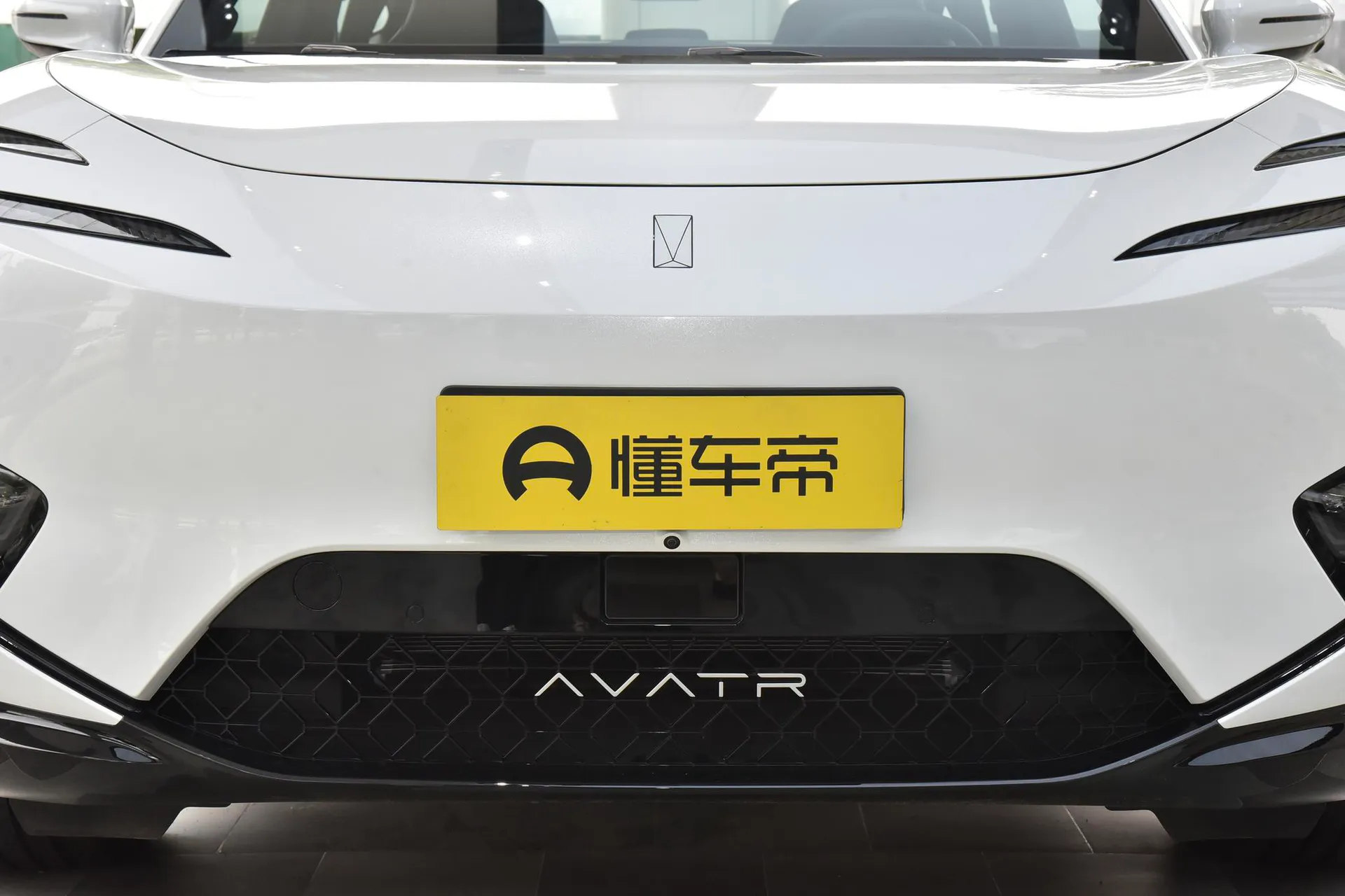  11 Max RWD EV