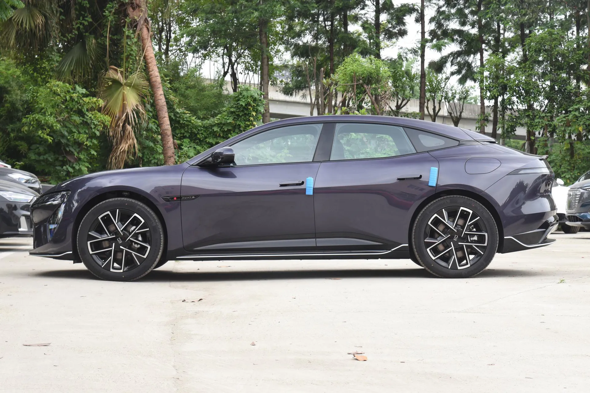 06 Pro Pure EV