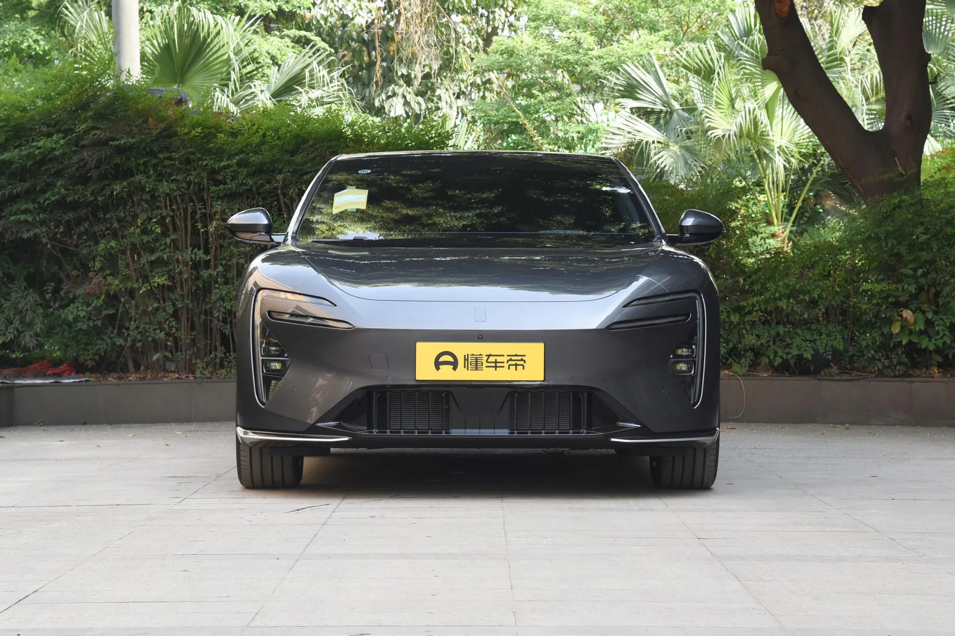  06 Pro Pure EV