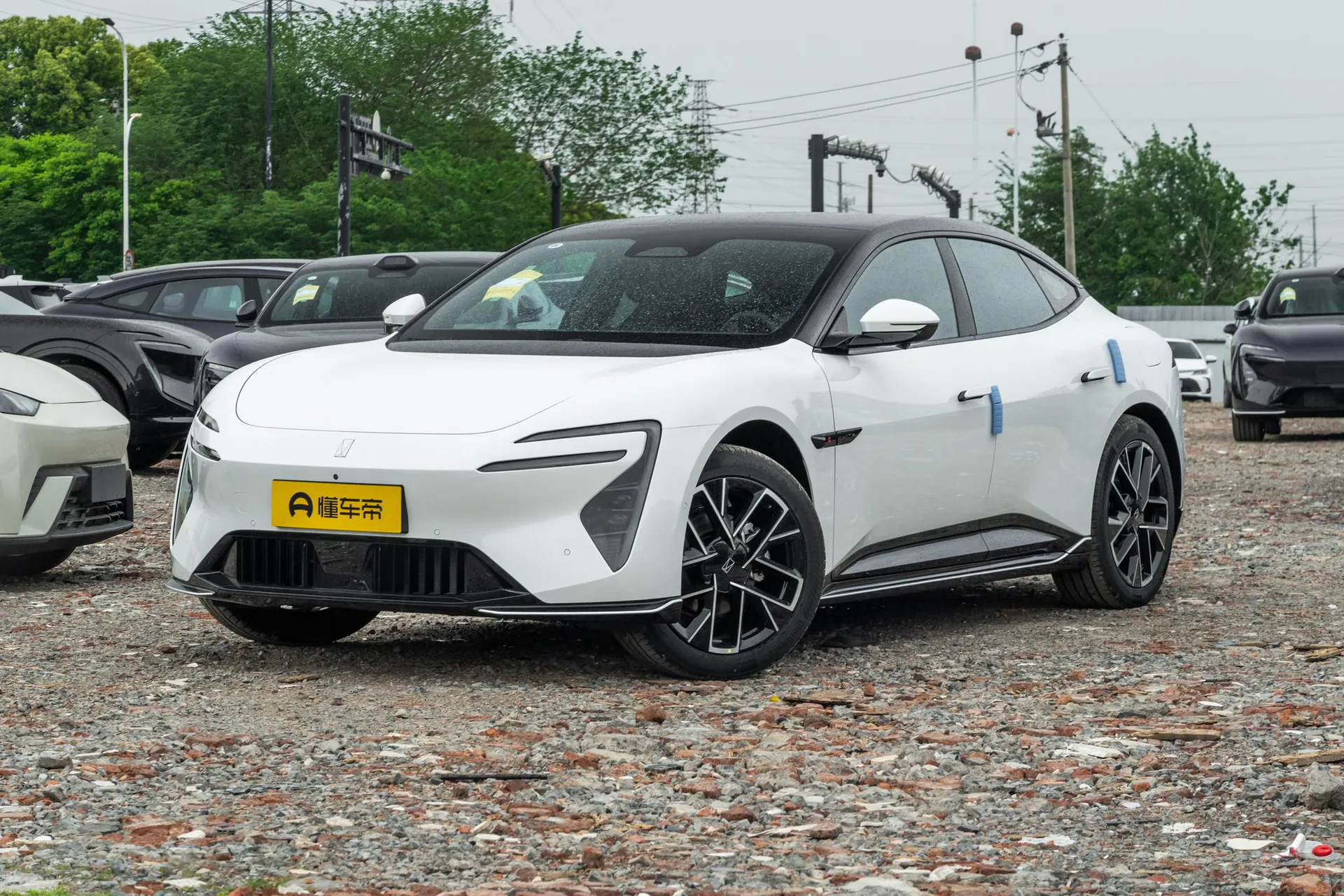  06 Pro Pure EV