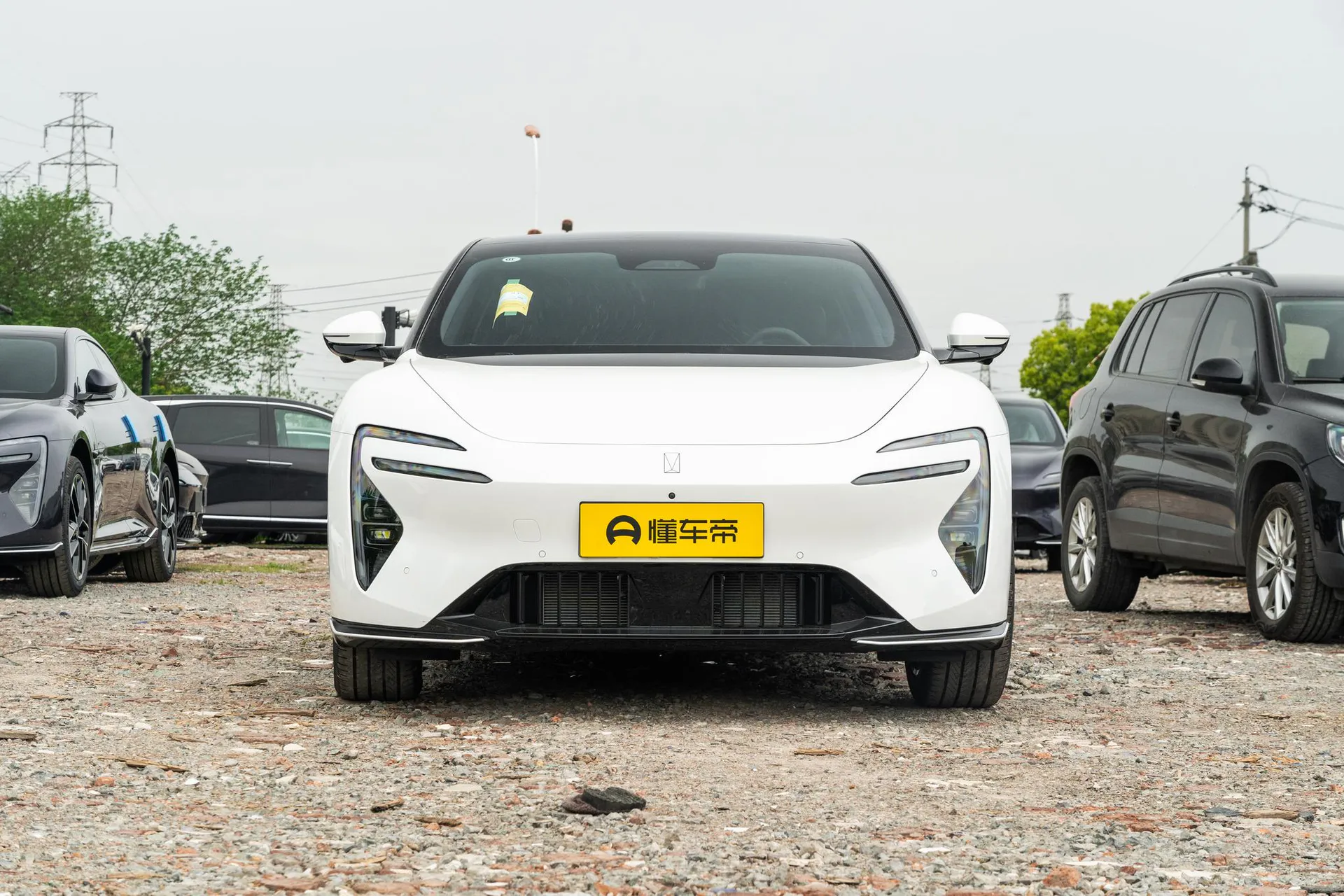  06 Pro Pure EV
