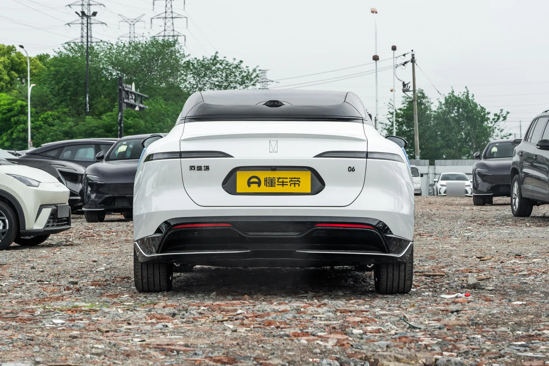  06 Pro Pure EV