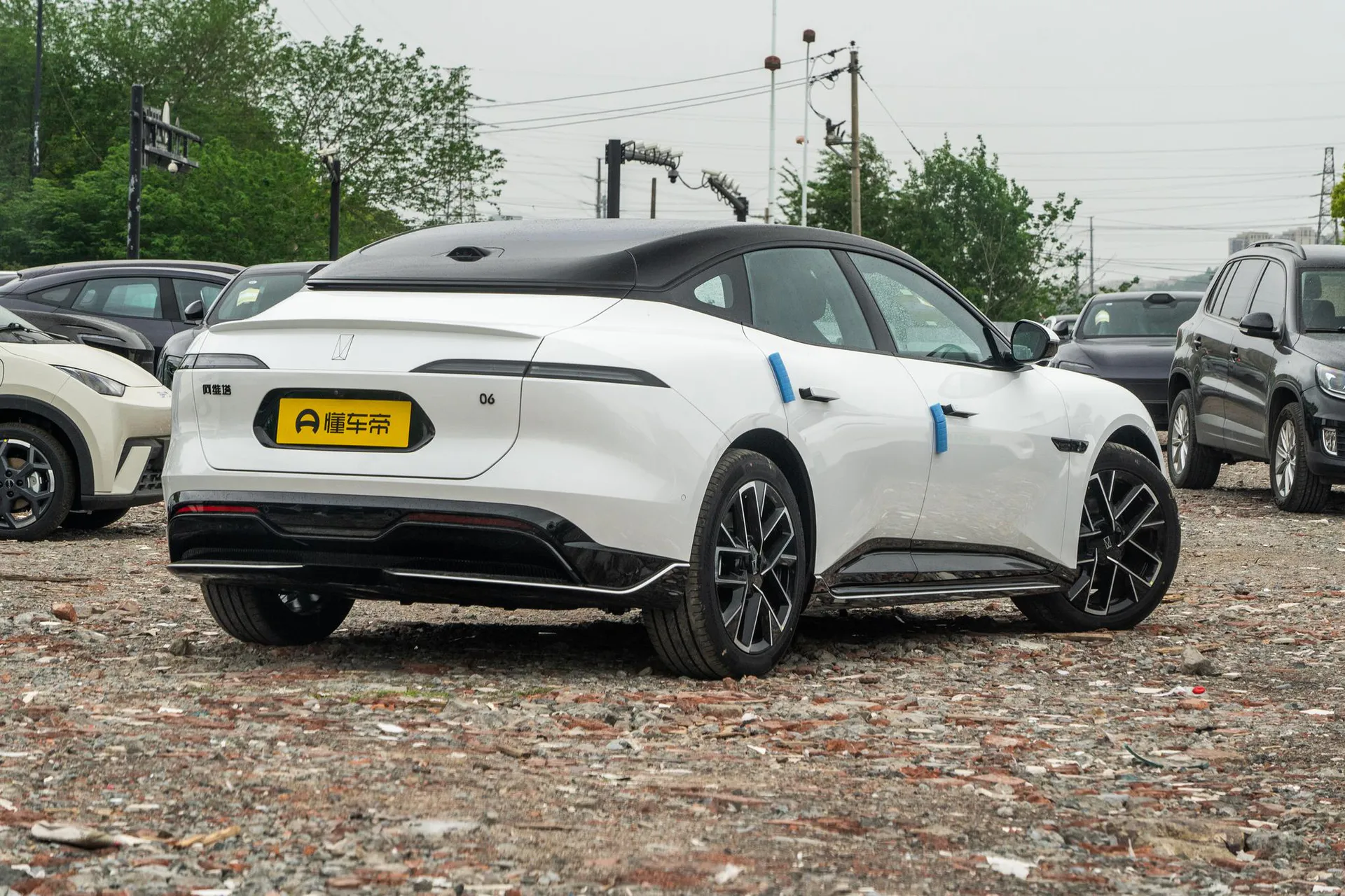  06 Pro Pure EV