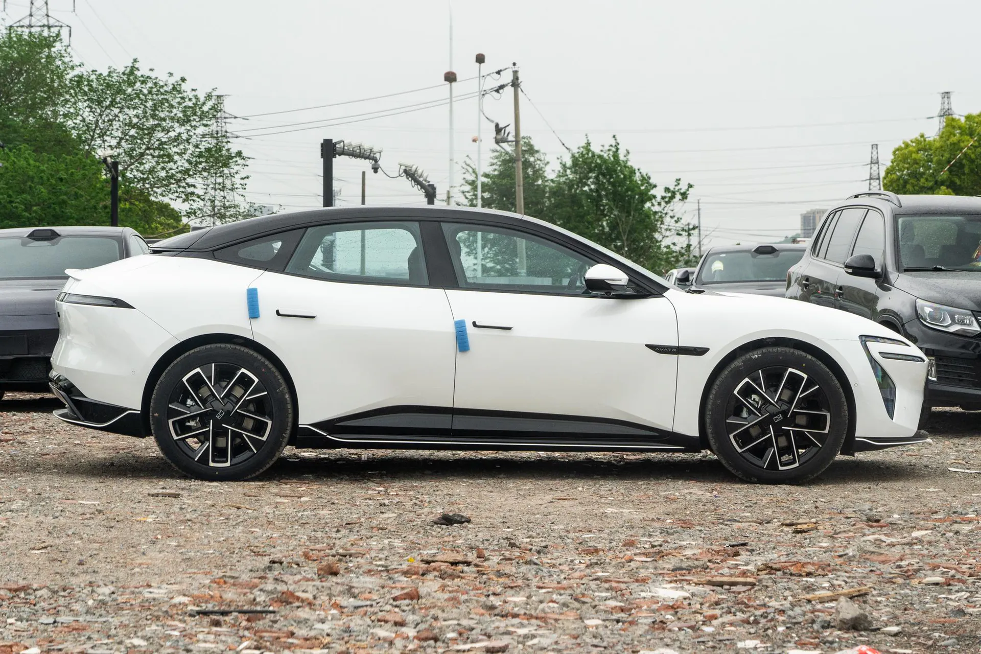  06 Pro Pure EV