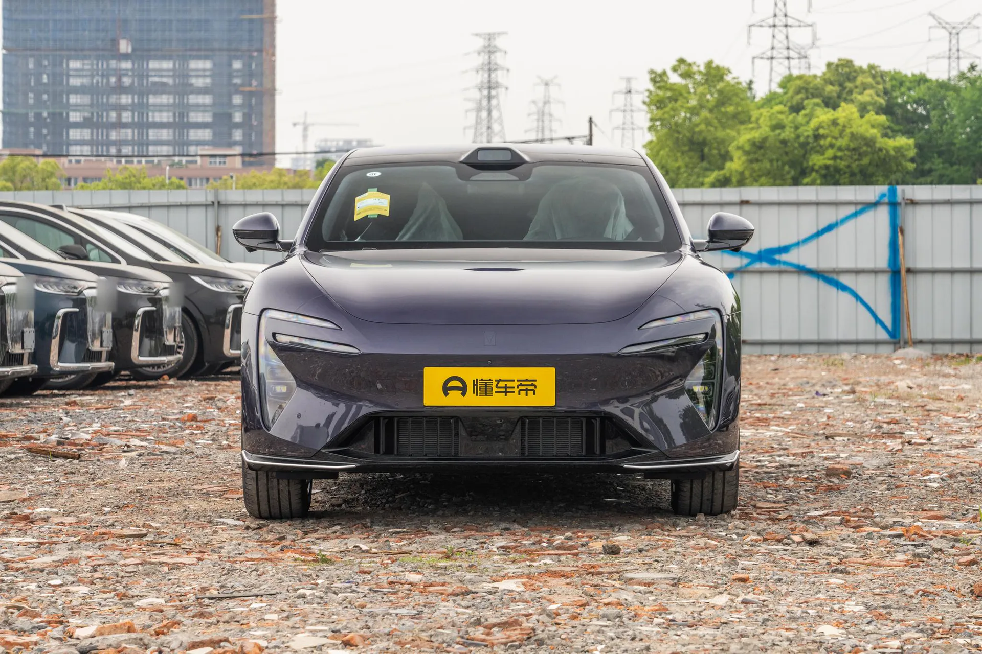  06 Max Pure EV