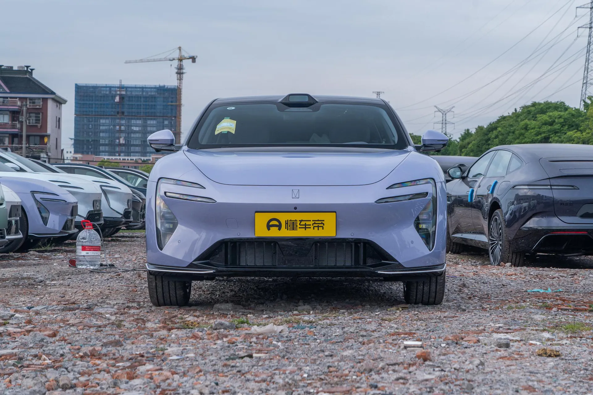  06 Max Pure EV