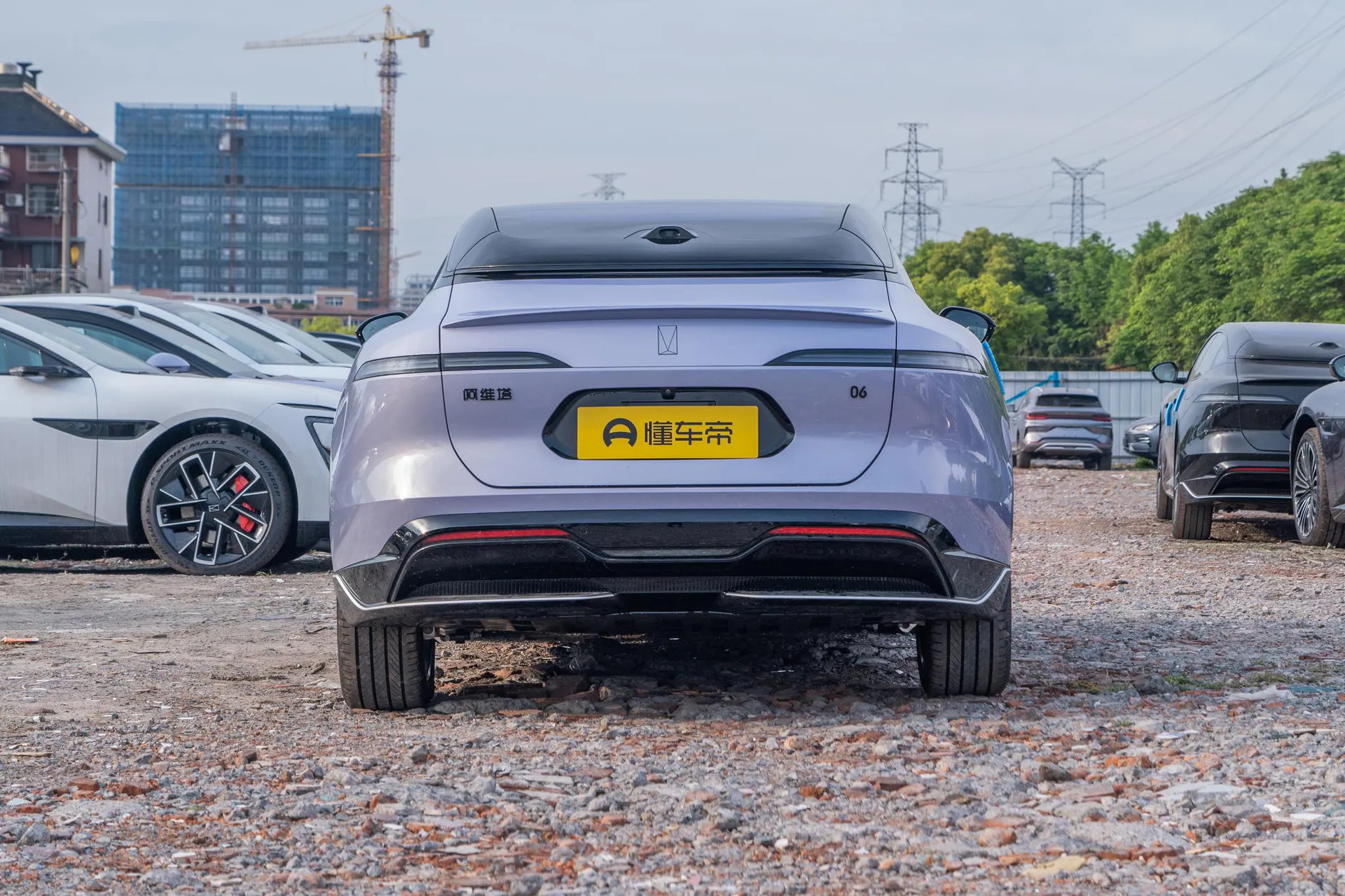  06 Max Pure EV