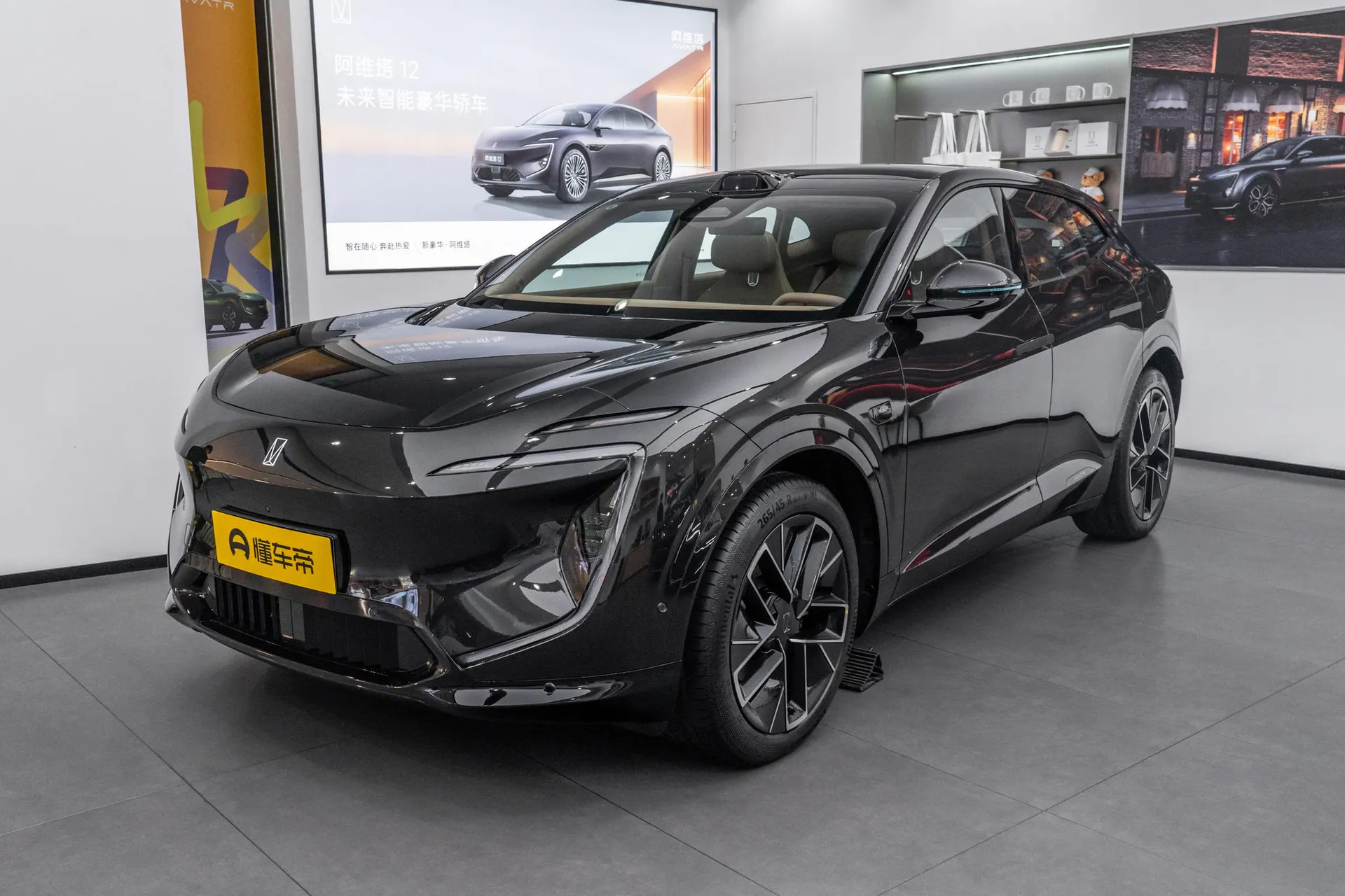  07 Max+ RWD Pure EV