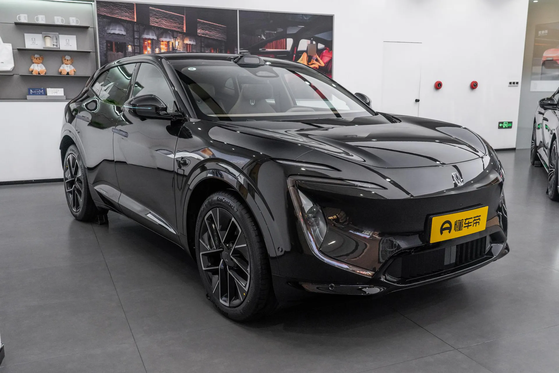  07 Max+ RWD Pure EV