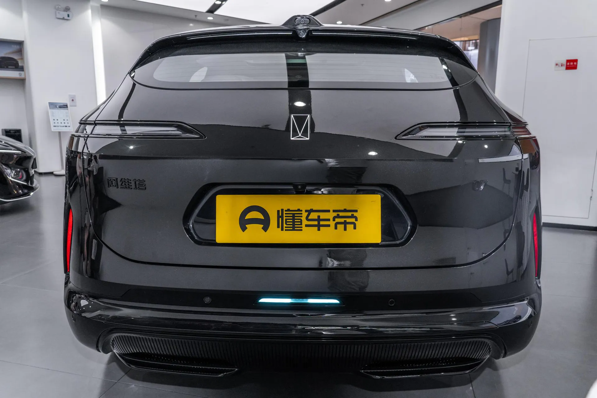  07 Max+ RWD Pure EV