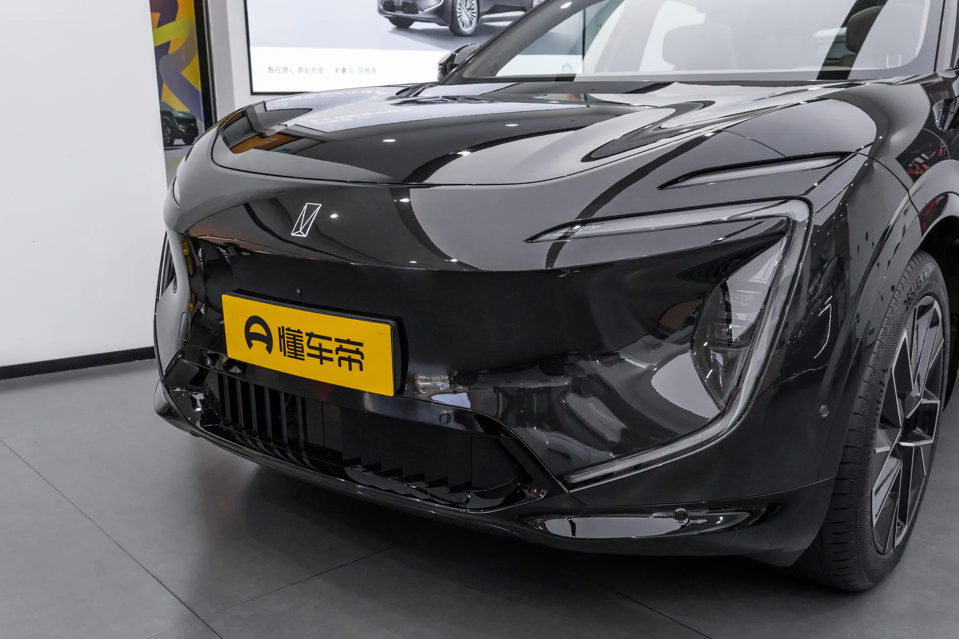  07 Max+ RWD Pure EV