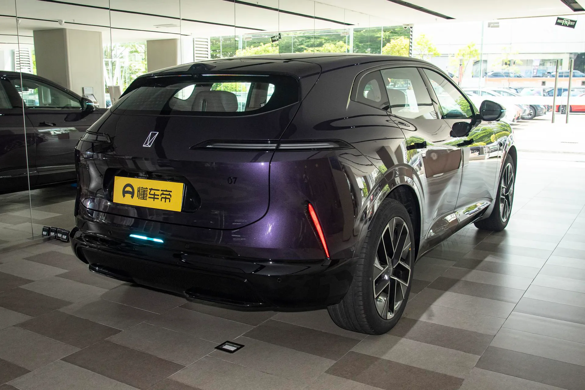  07 Max+ RWD Pure EV