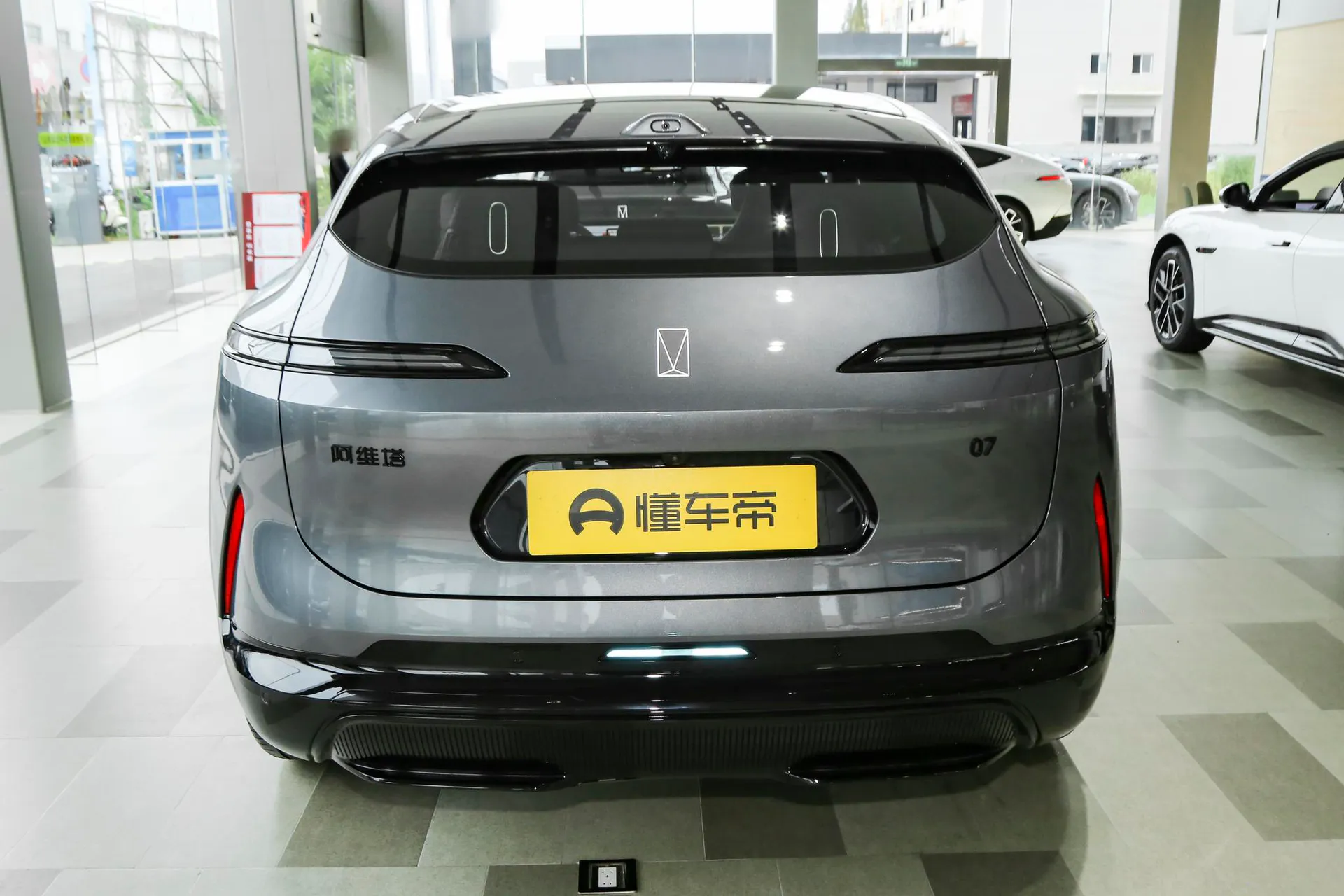  07 Max+ RWD Pure EV