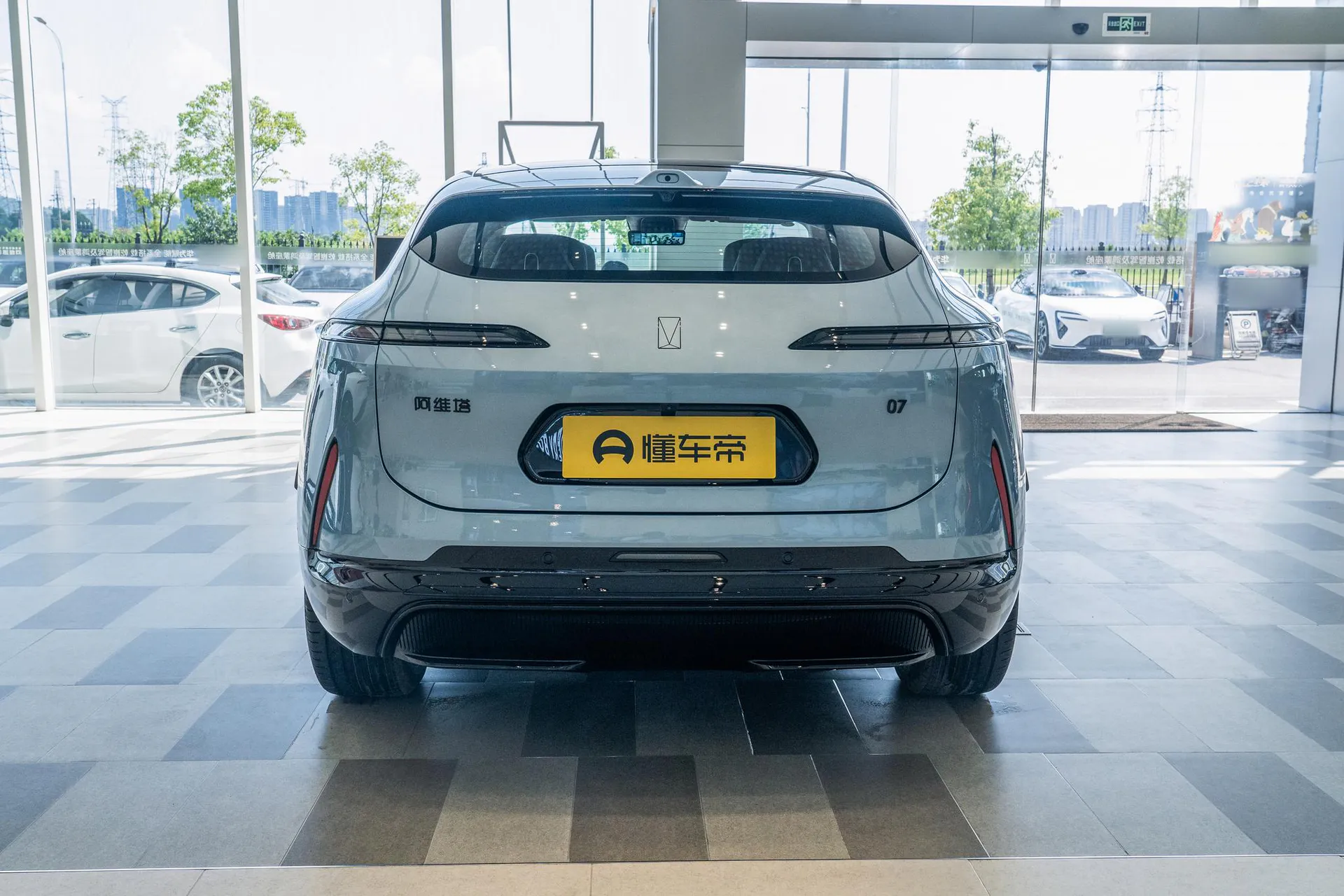  07 Max+ RWD Pure EV