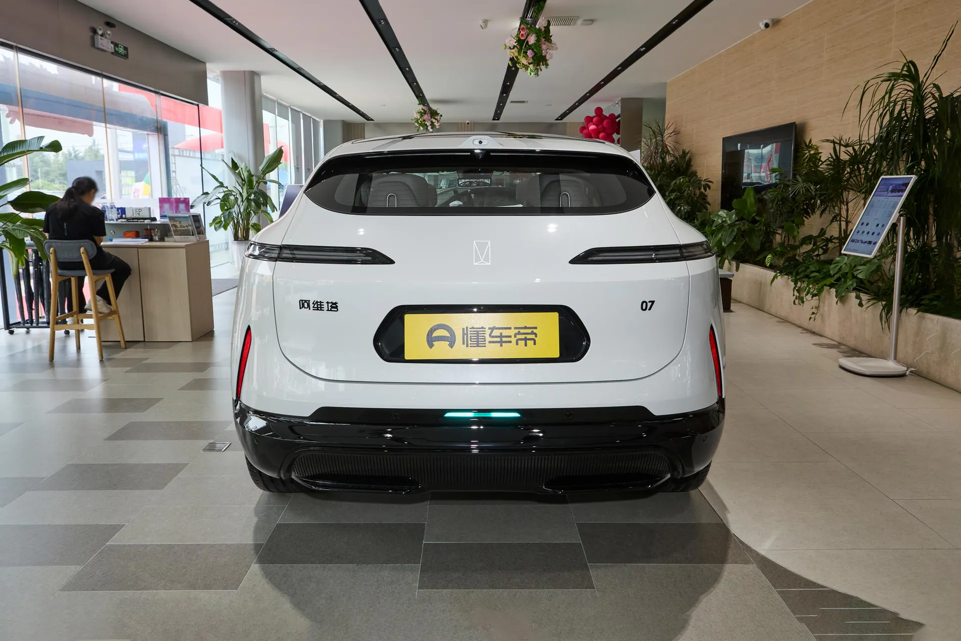  07 Max+ RWD Pure EV