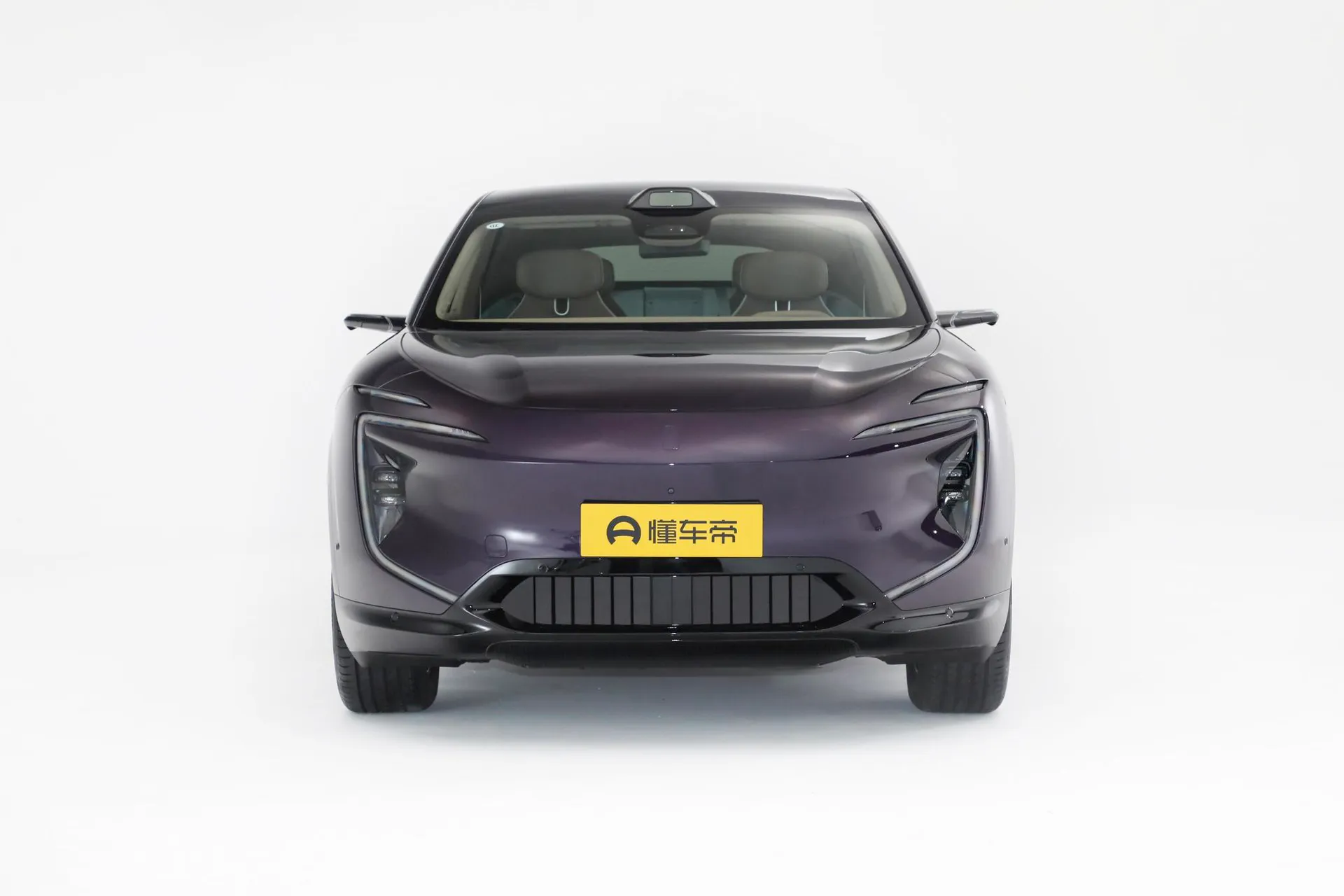  07 Max RWD Pure EV