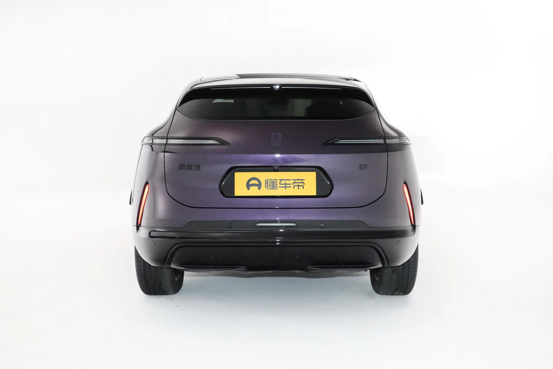  07 Max RWD Pure EV