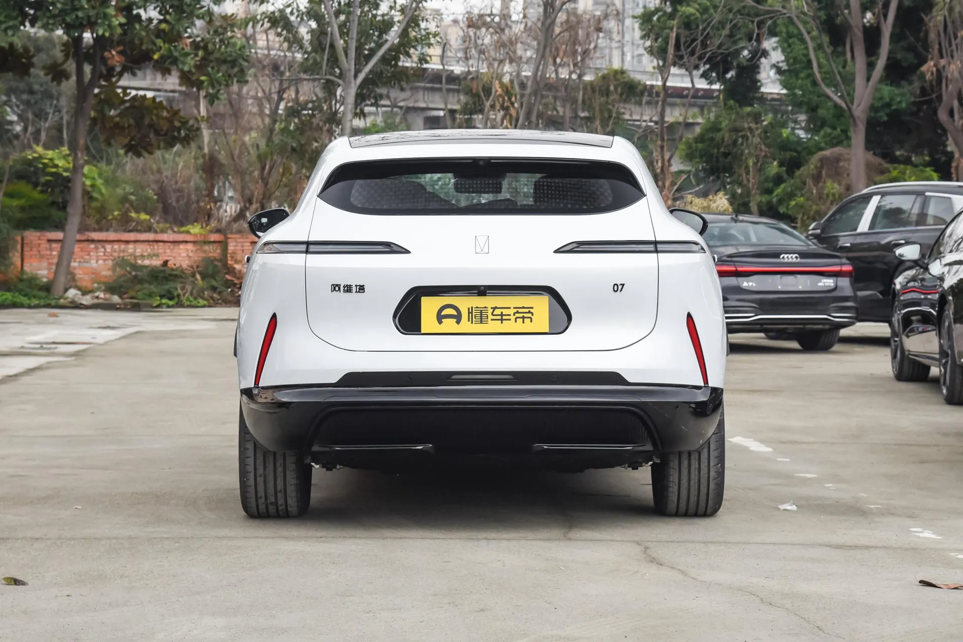 07 Max AWD Pure EV