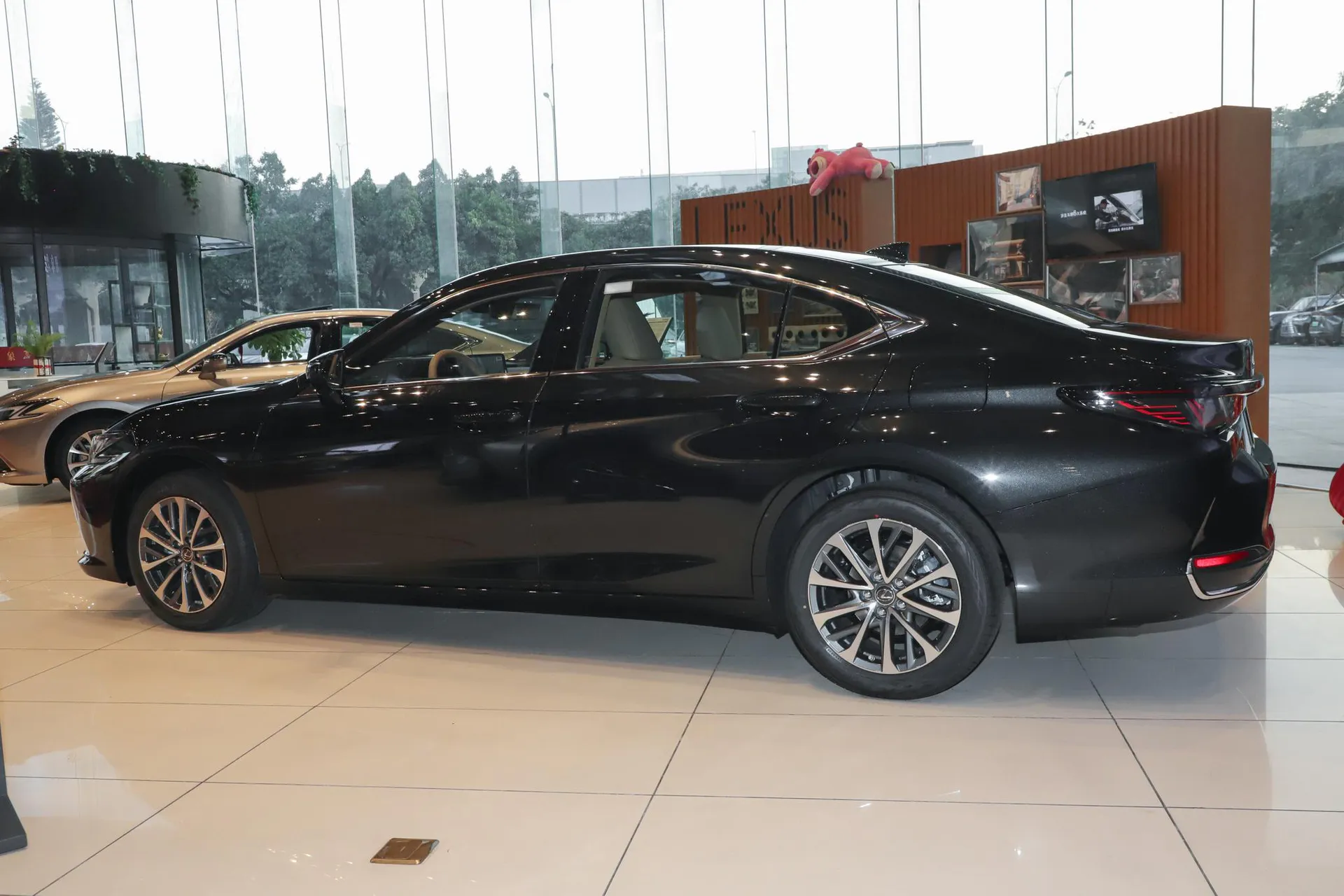  ES 200 Zhenxiang