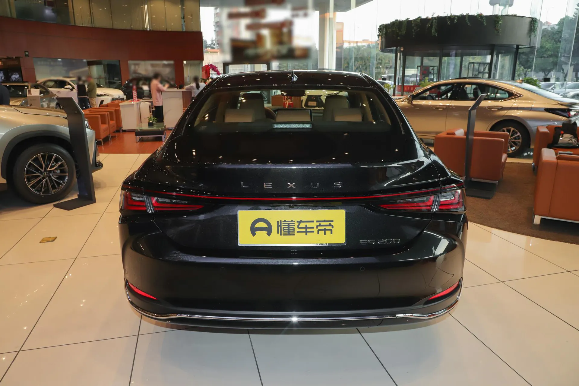  ES 200 Zhenxiang