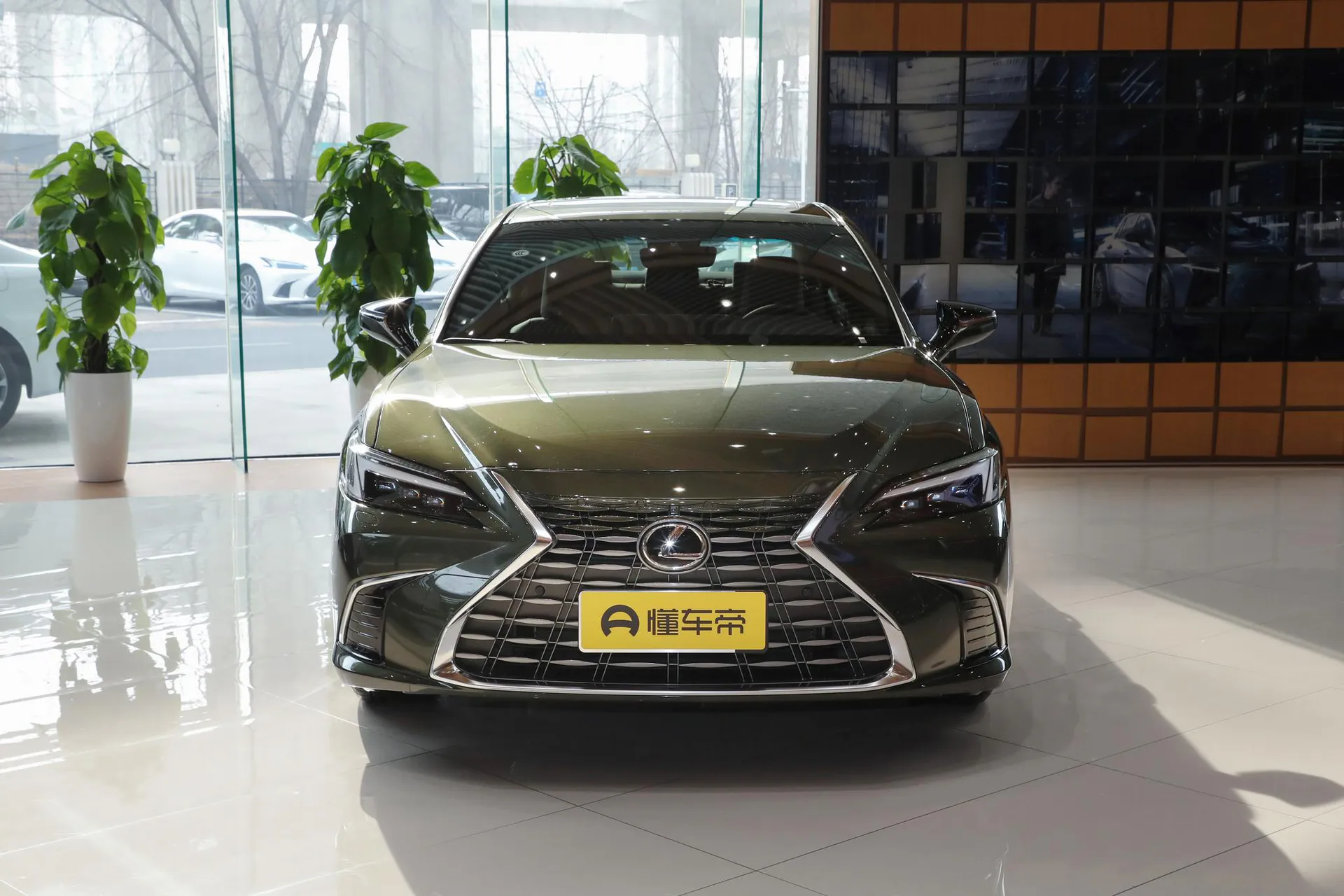  ES 200 Zhenxiang
