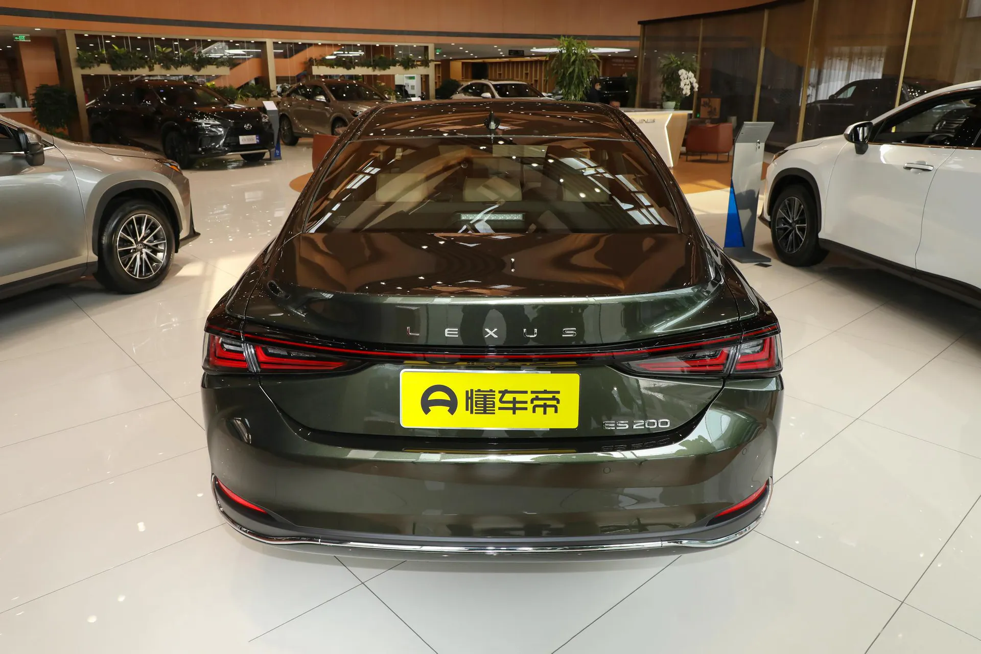  ES 200 Zhenxiang