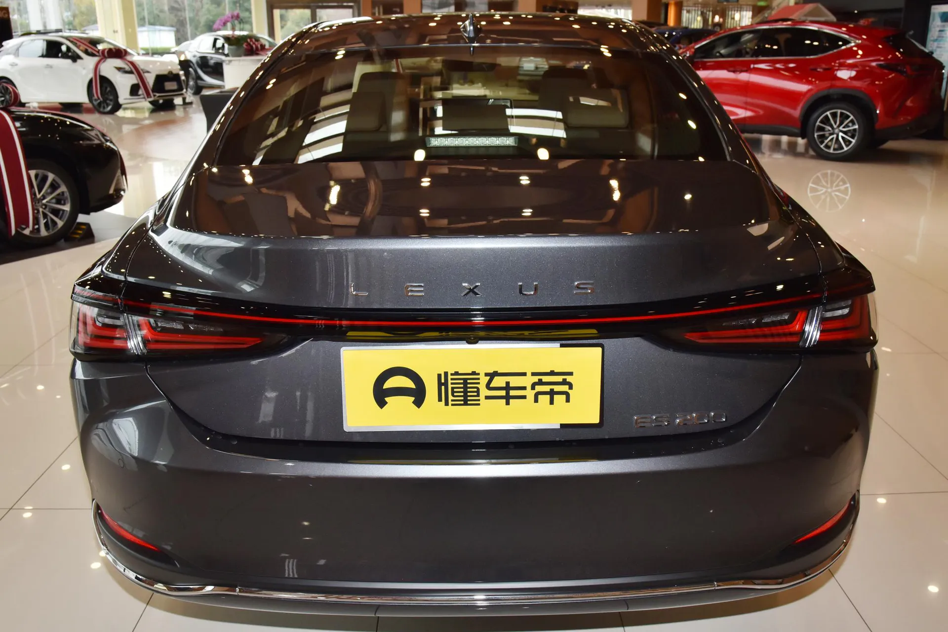  ES 200 Zhenxiang