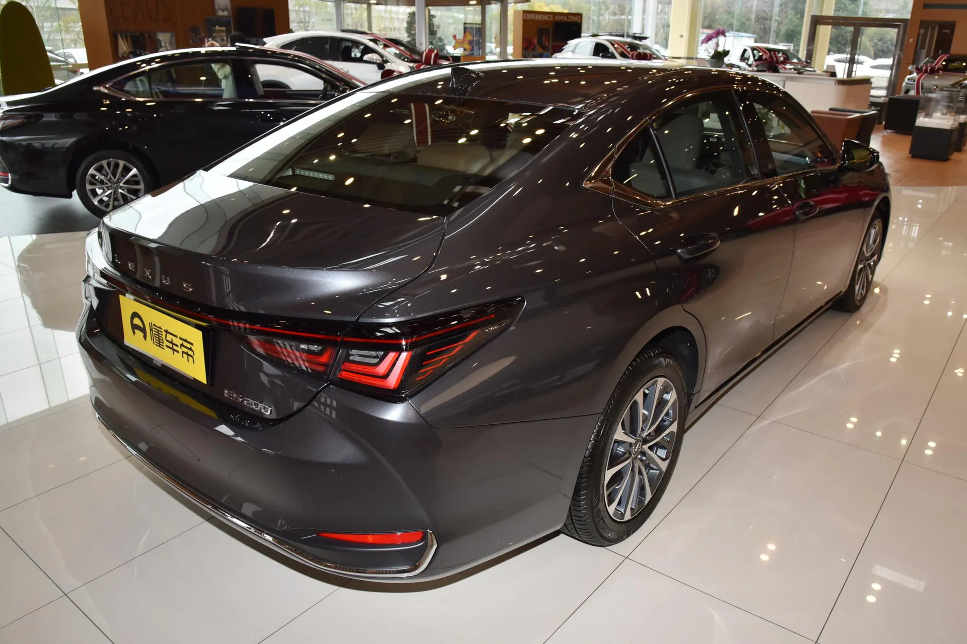  ES 200 Zhenxiang