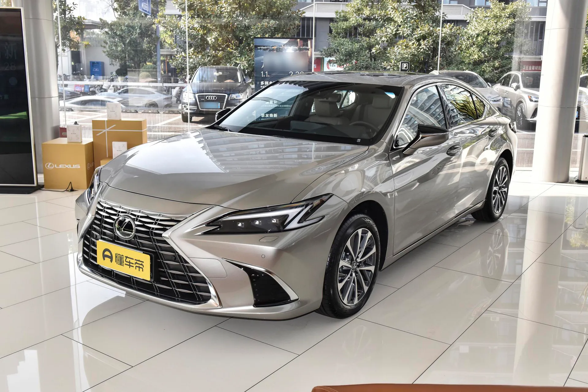  ES 200 Zhenxiang