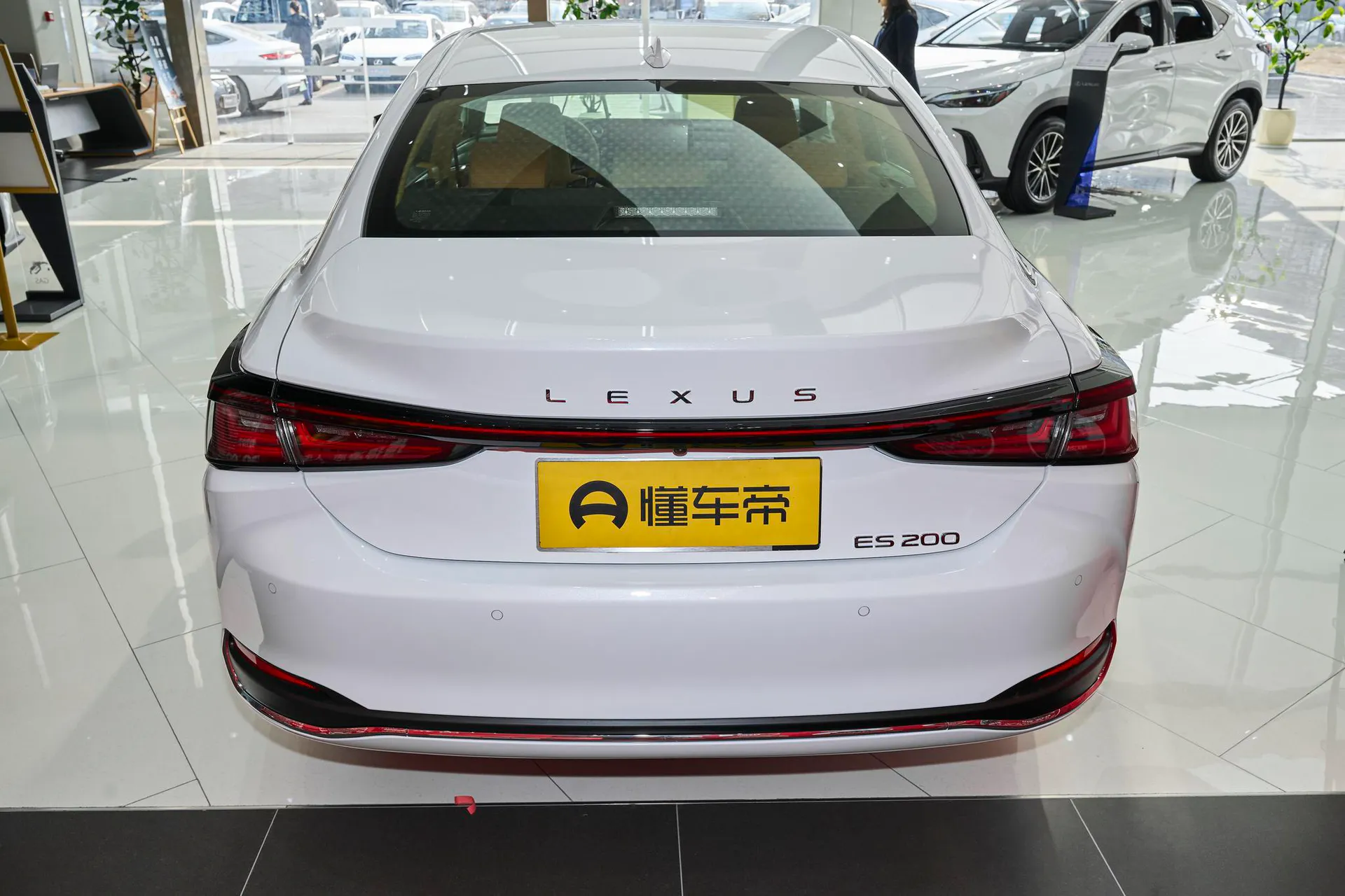  ES 200 Zhenxiang