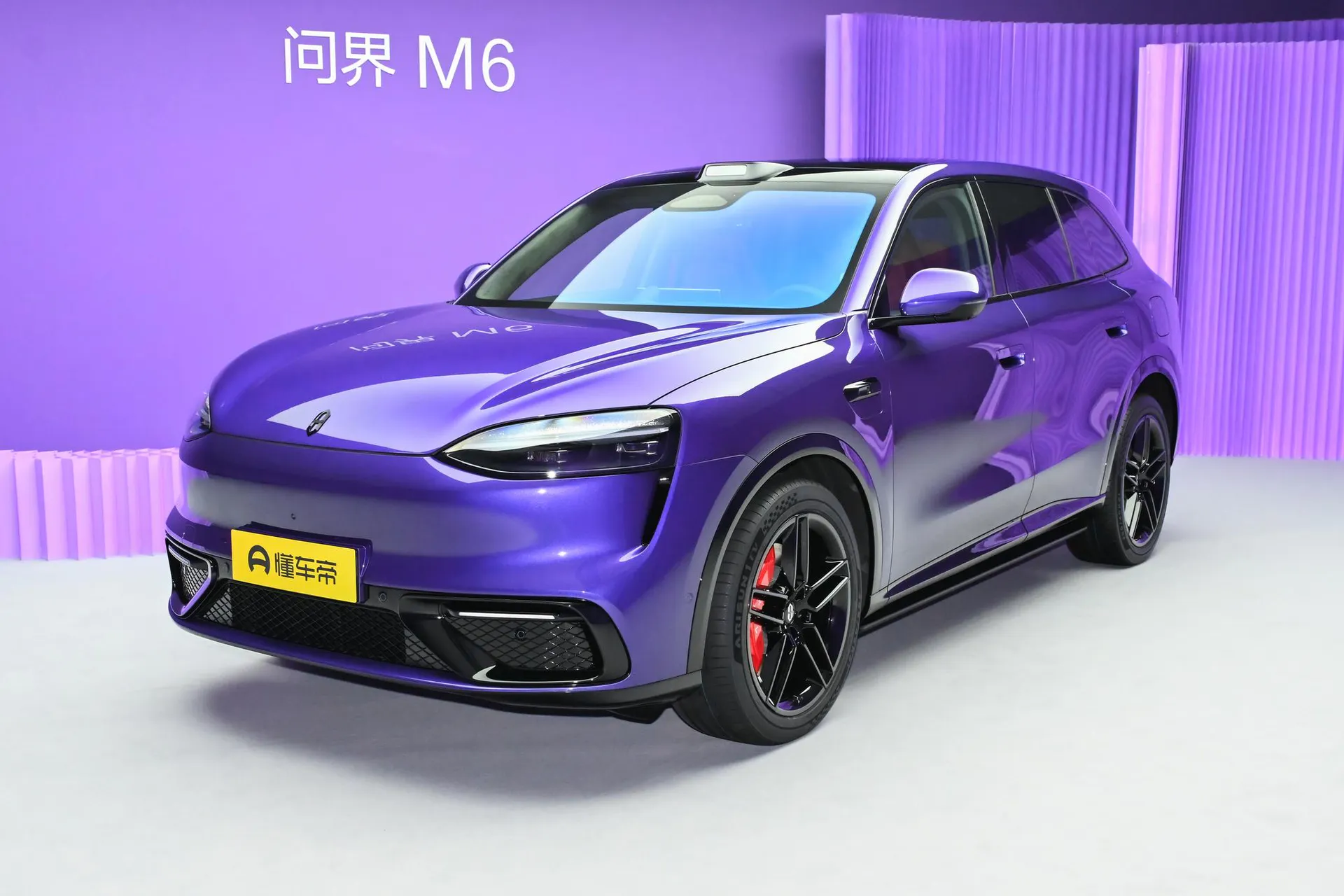  M6 Pure EV Max+ Long Range