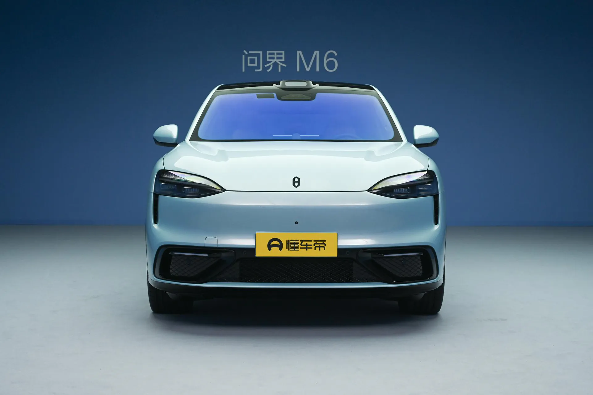  M6 Pure EV Max+ Long Range