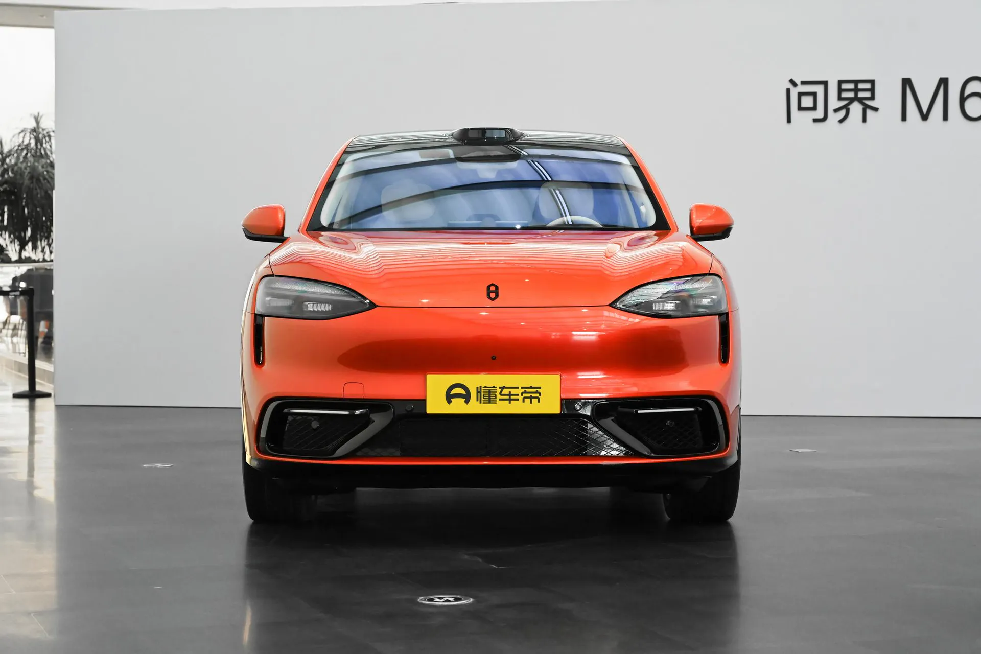  M6 Pure EV Max+ Long Range