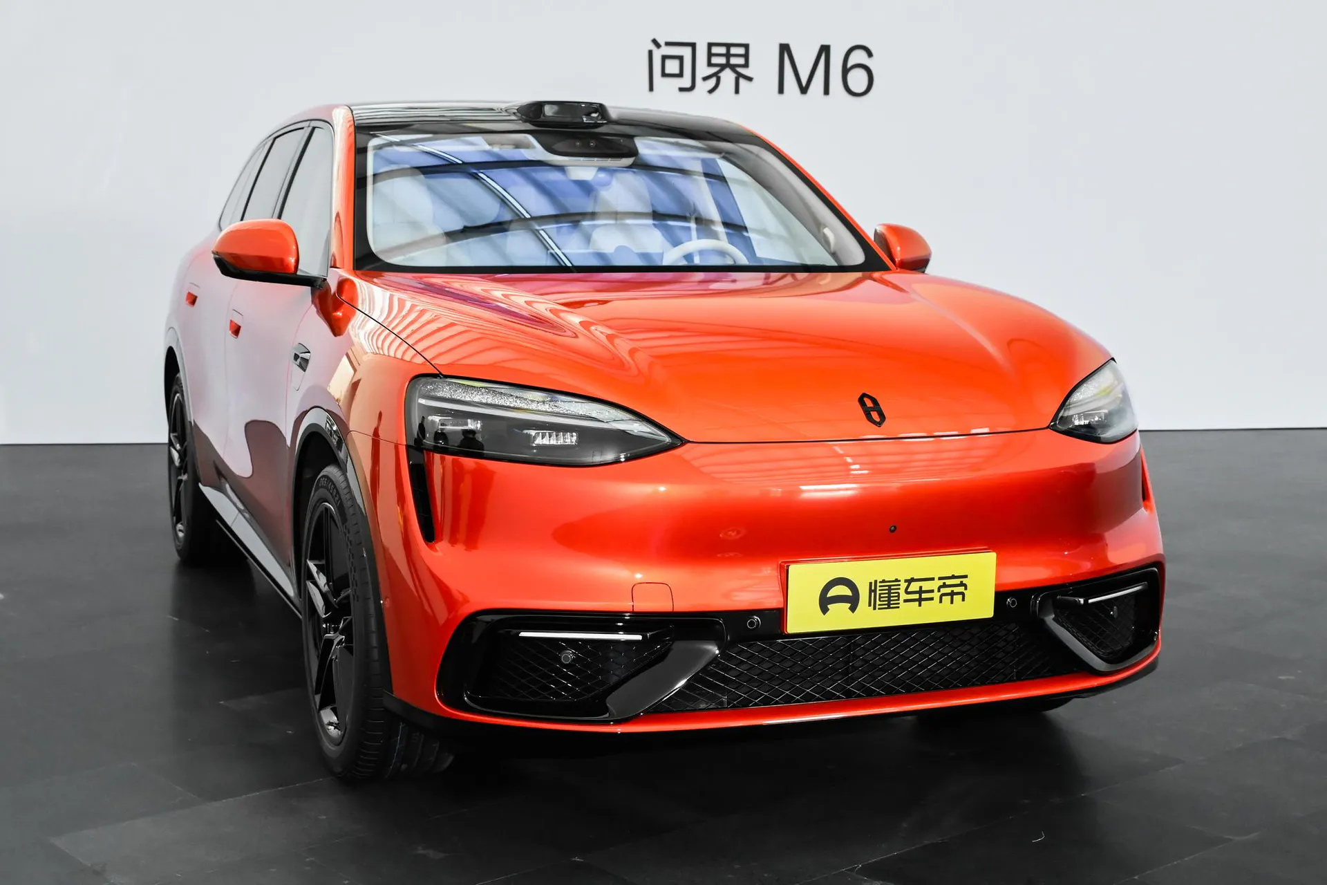  M6 Pure EV Max+ Long Range
