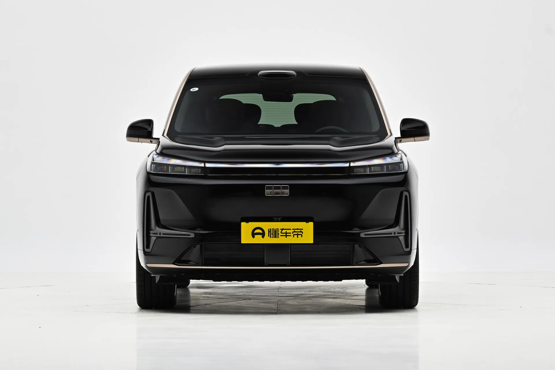  M9 210km AWD Black Gold Zhiyao