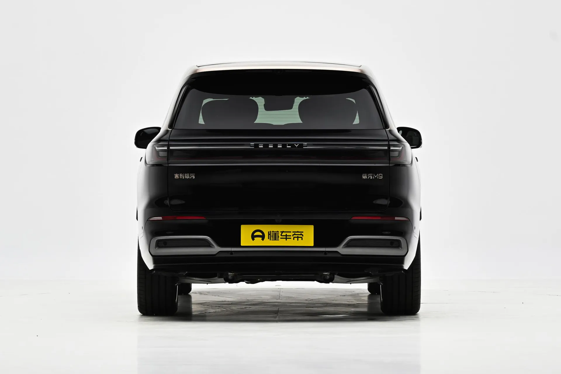  M9 210km AWD Black Gold Zhiyao