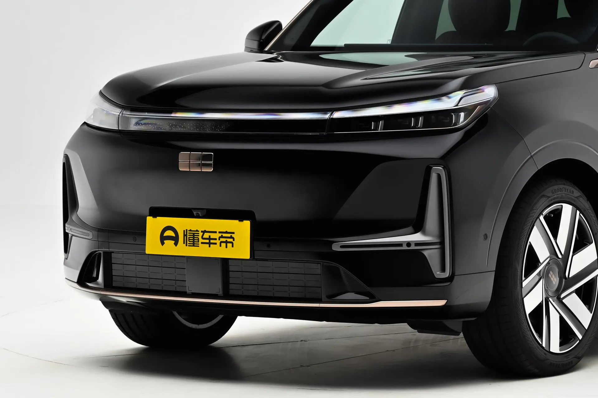  M9 210km AWD Black Gold Zhiyao