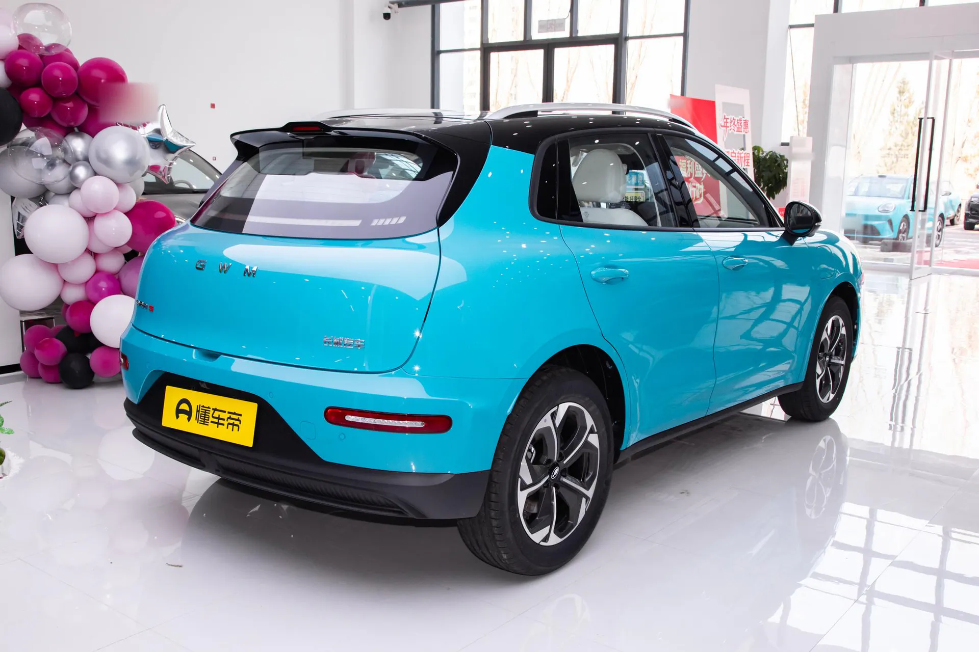  5 EV 480km Pro