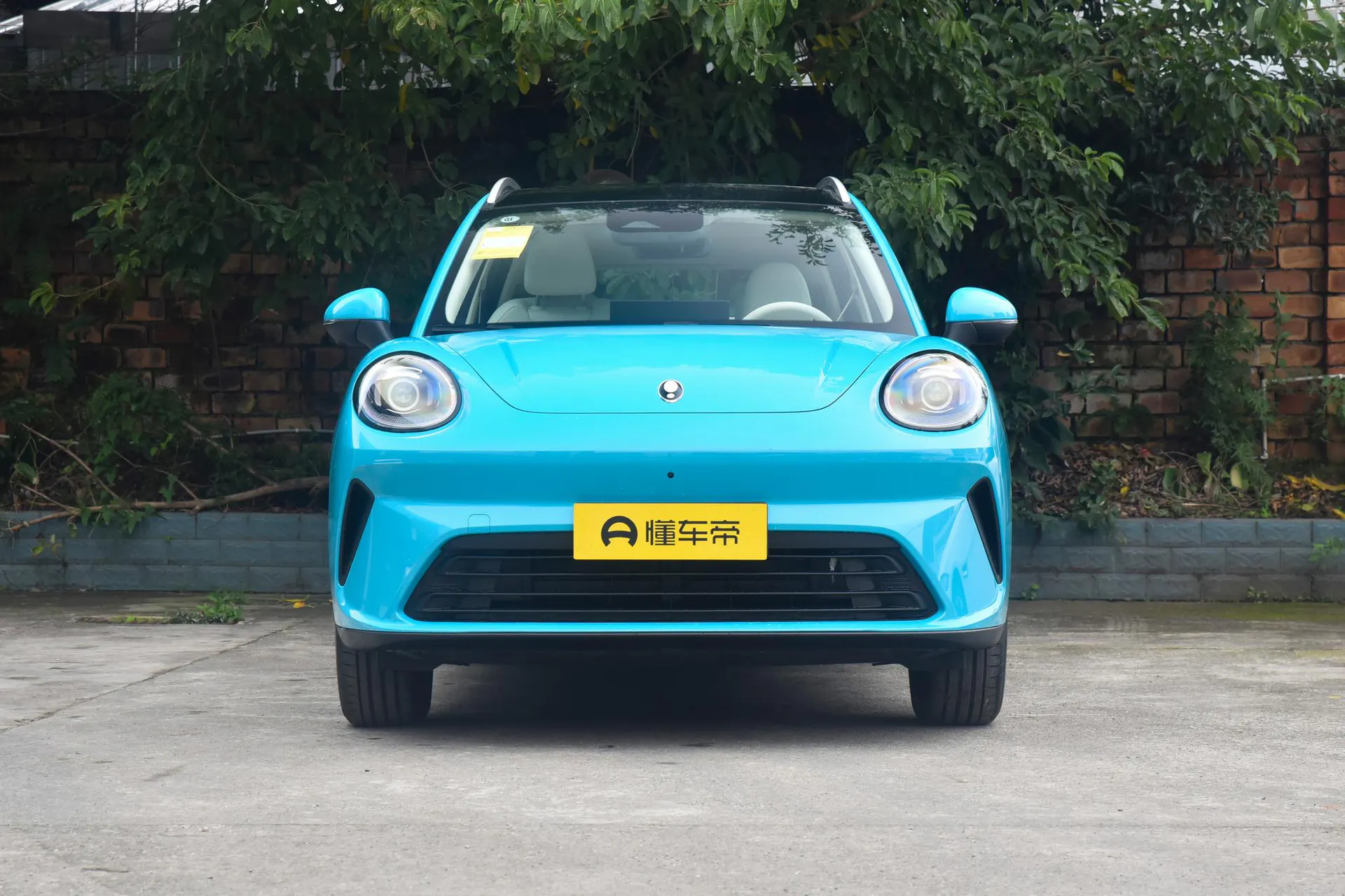  5 EV 480km Pro