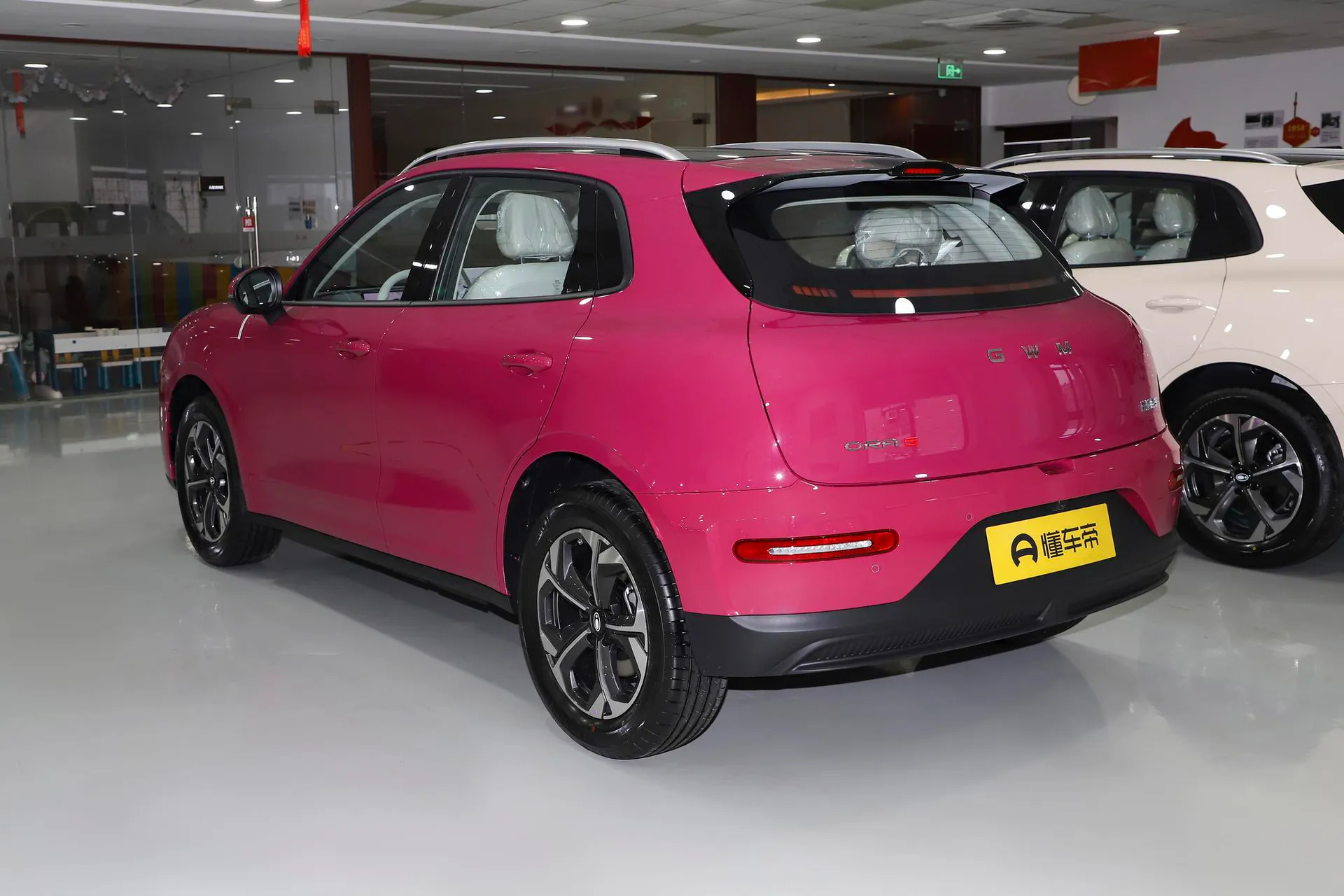  5 EV 480km Pro