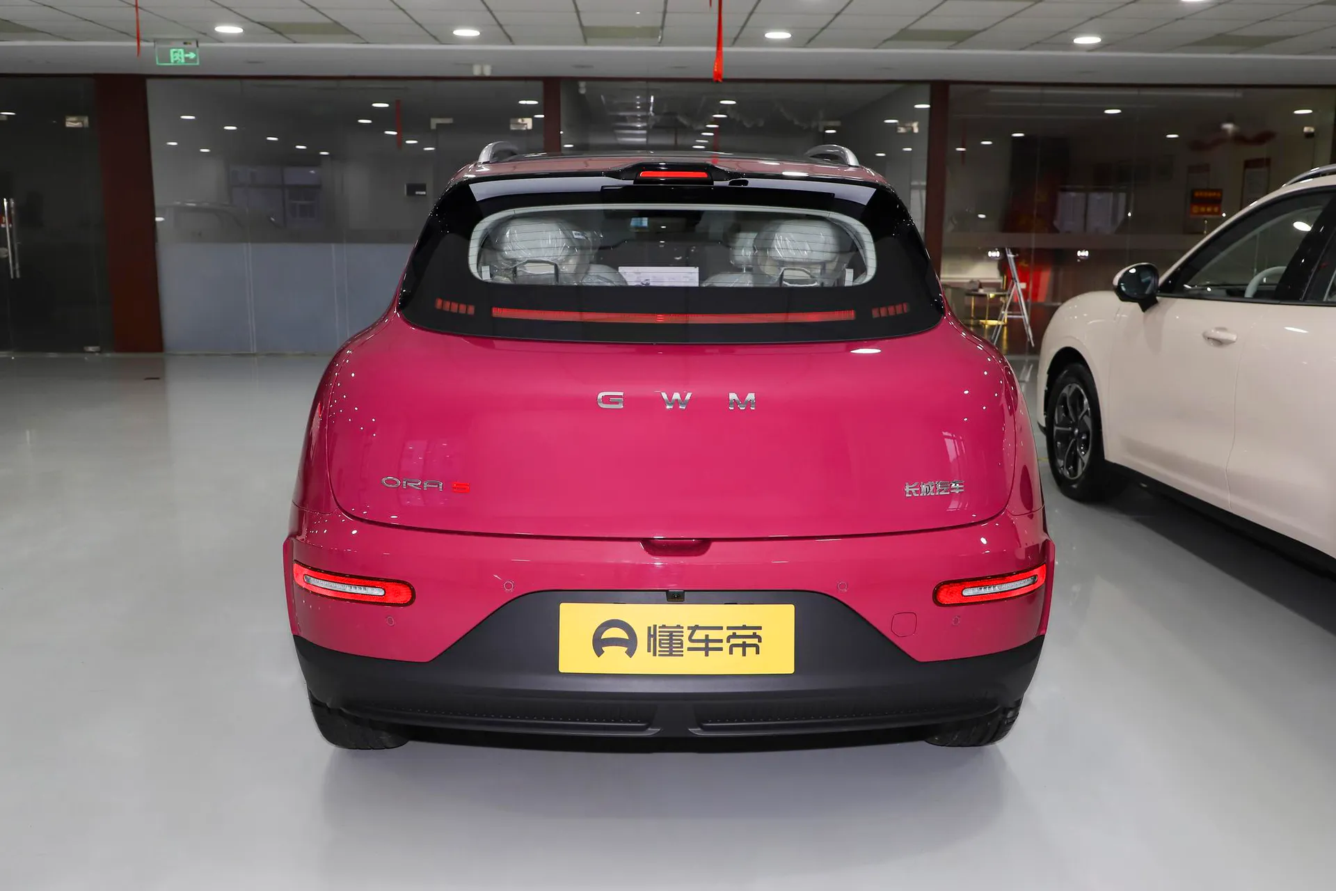  5 EV 480km Pro