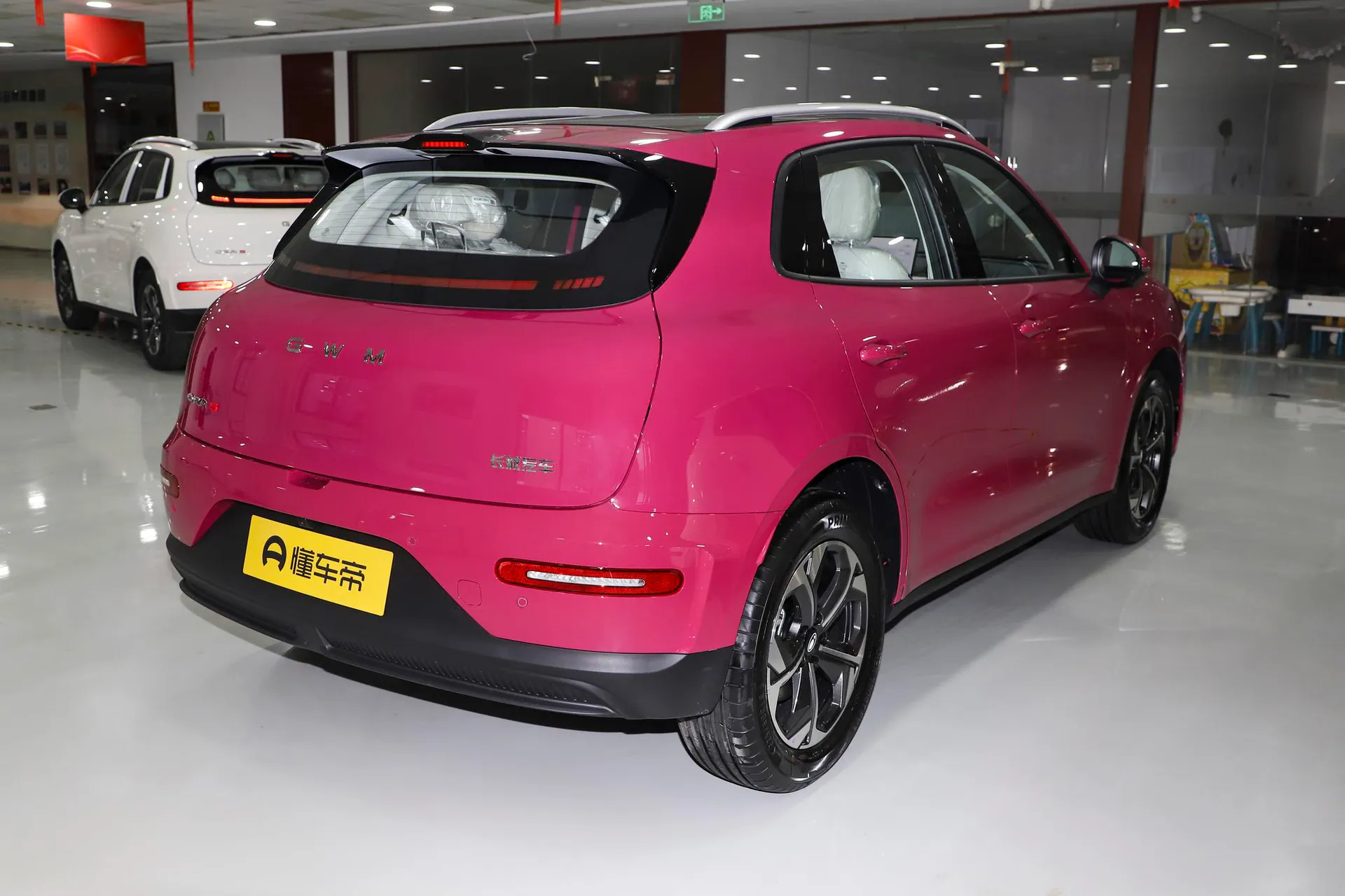  5 EV 480km Pro