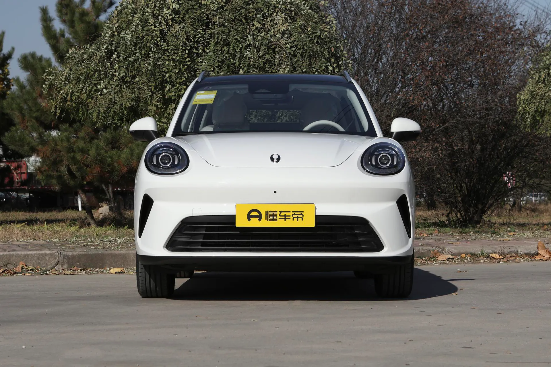  5 EV 480km Pro